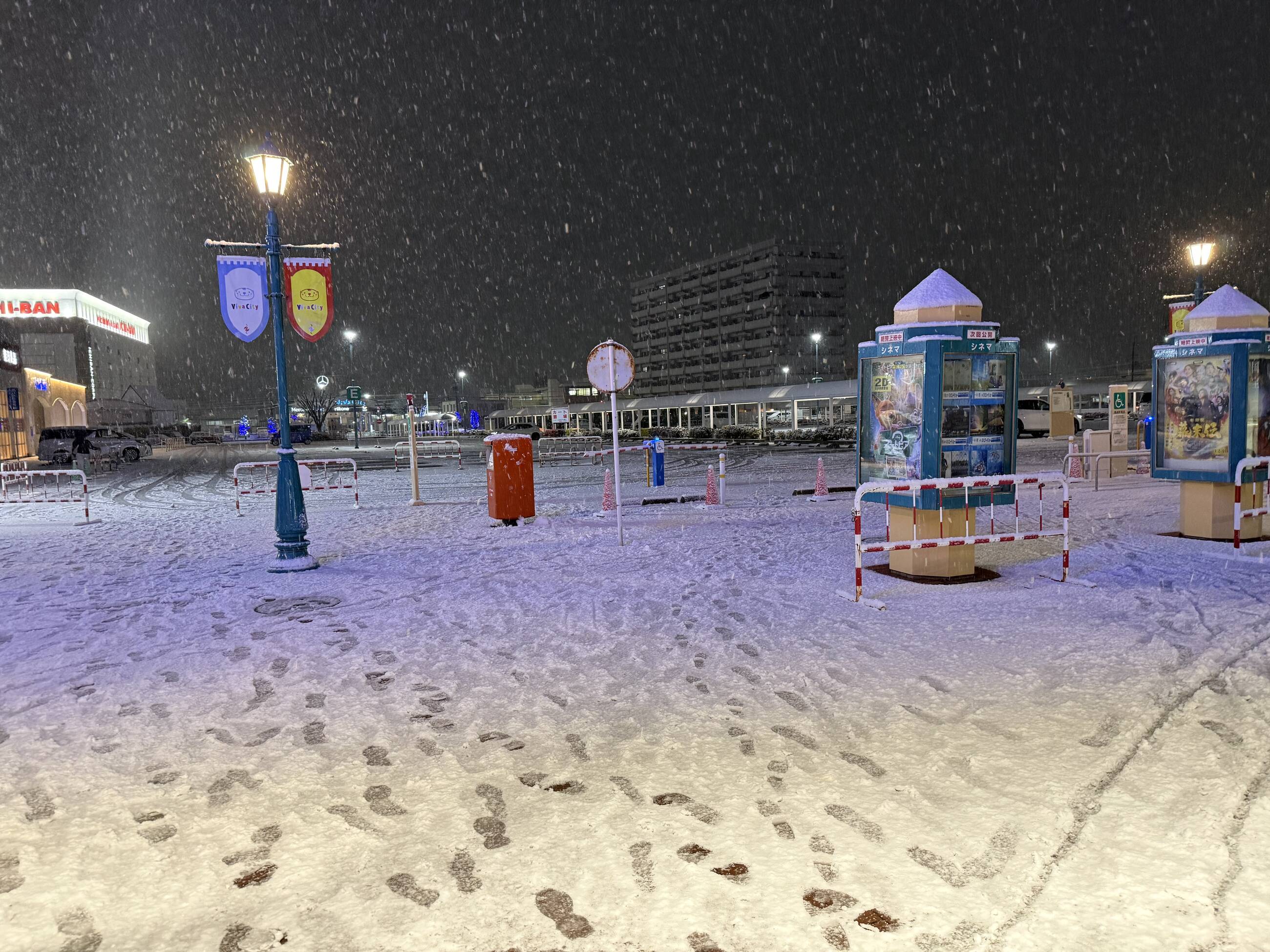 Snowy night
