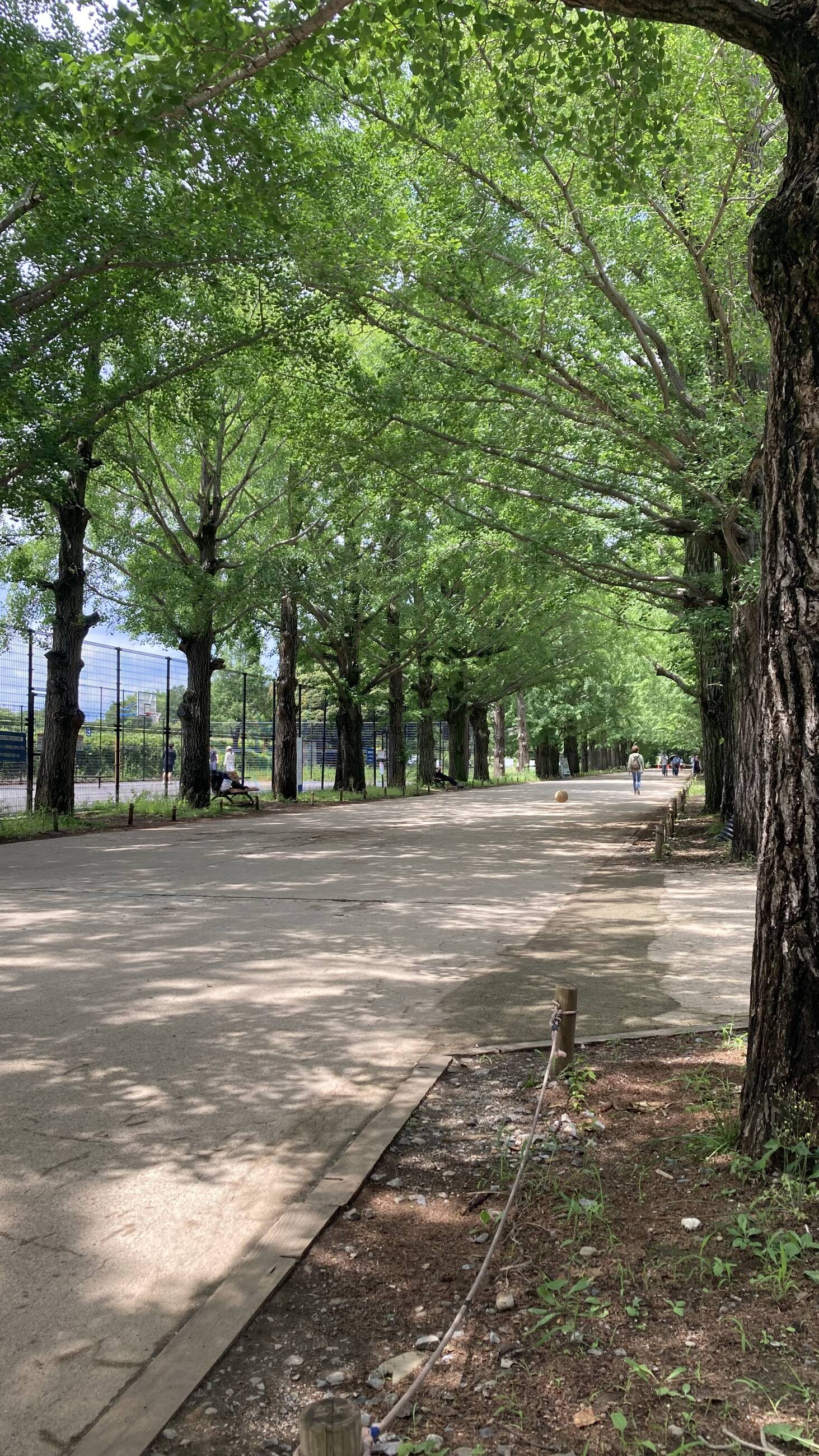 Park in Tachikawa