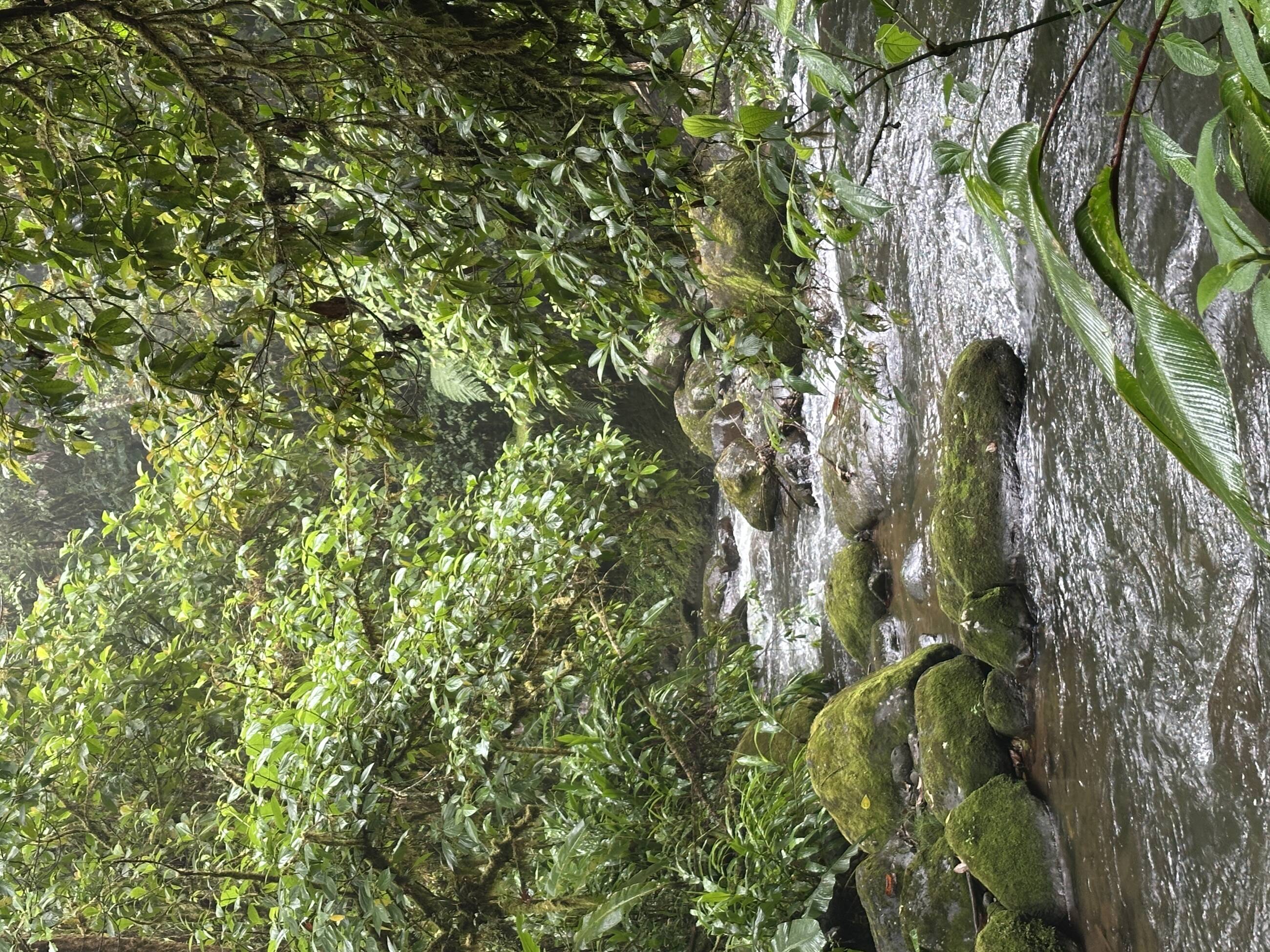 Parque La Paz