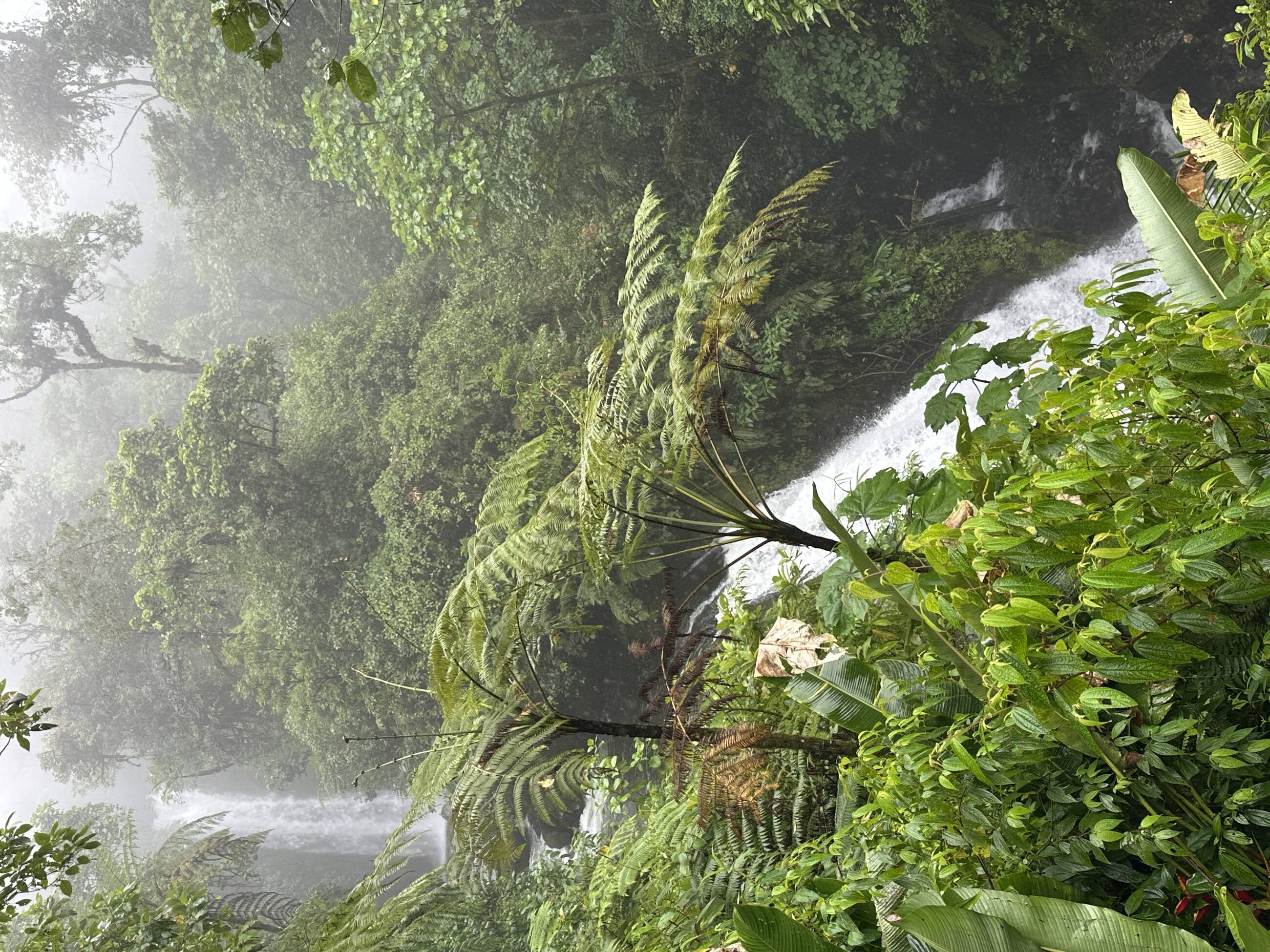Waterfall at Parque La Paz