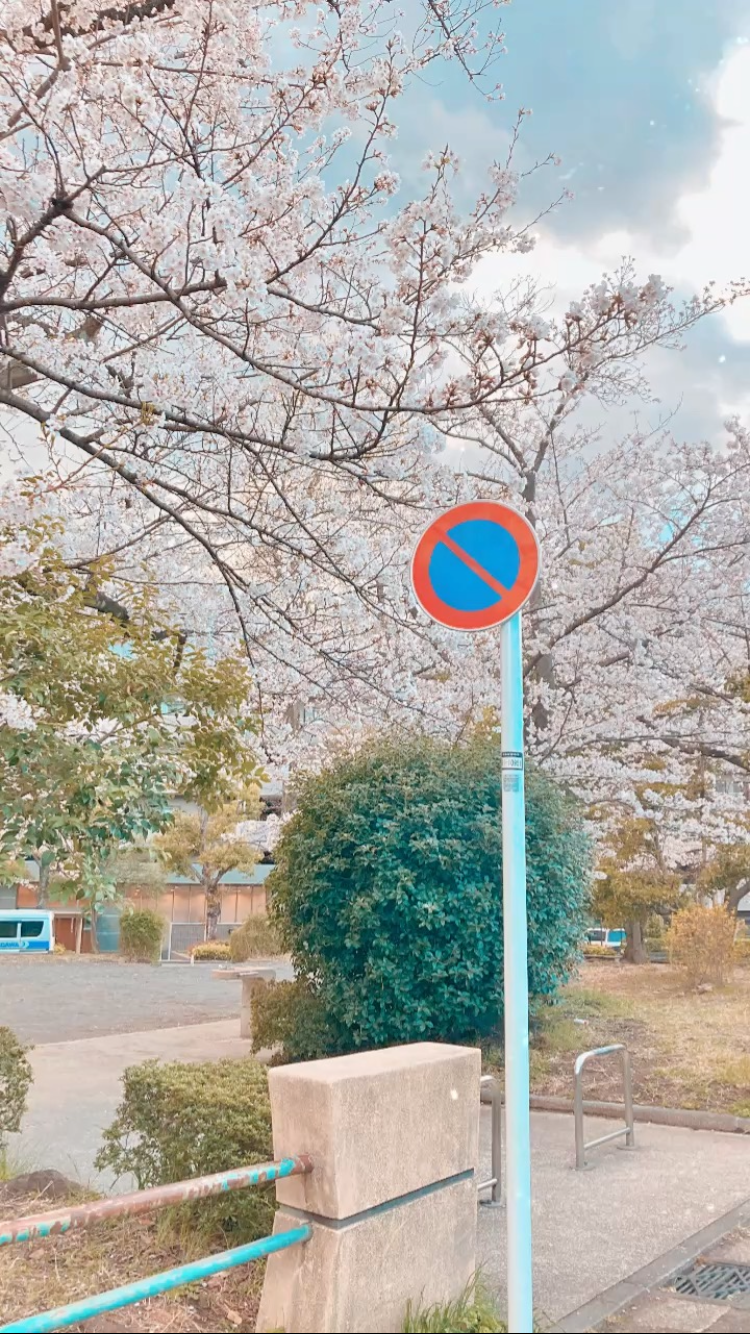 Spring in Japan