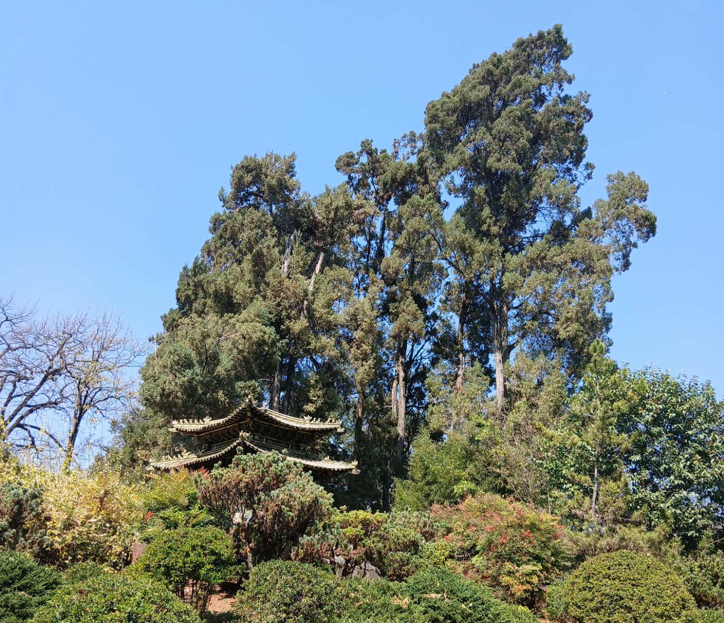 金殿