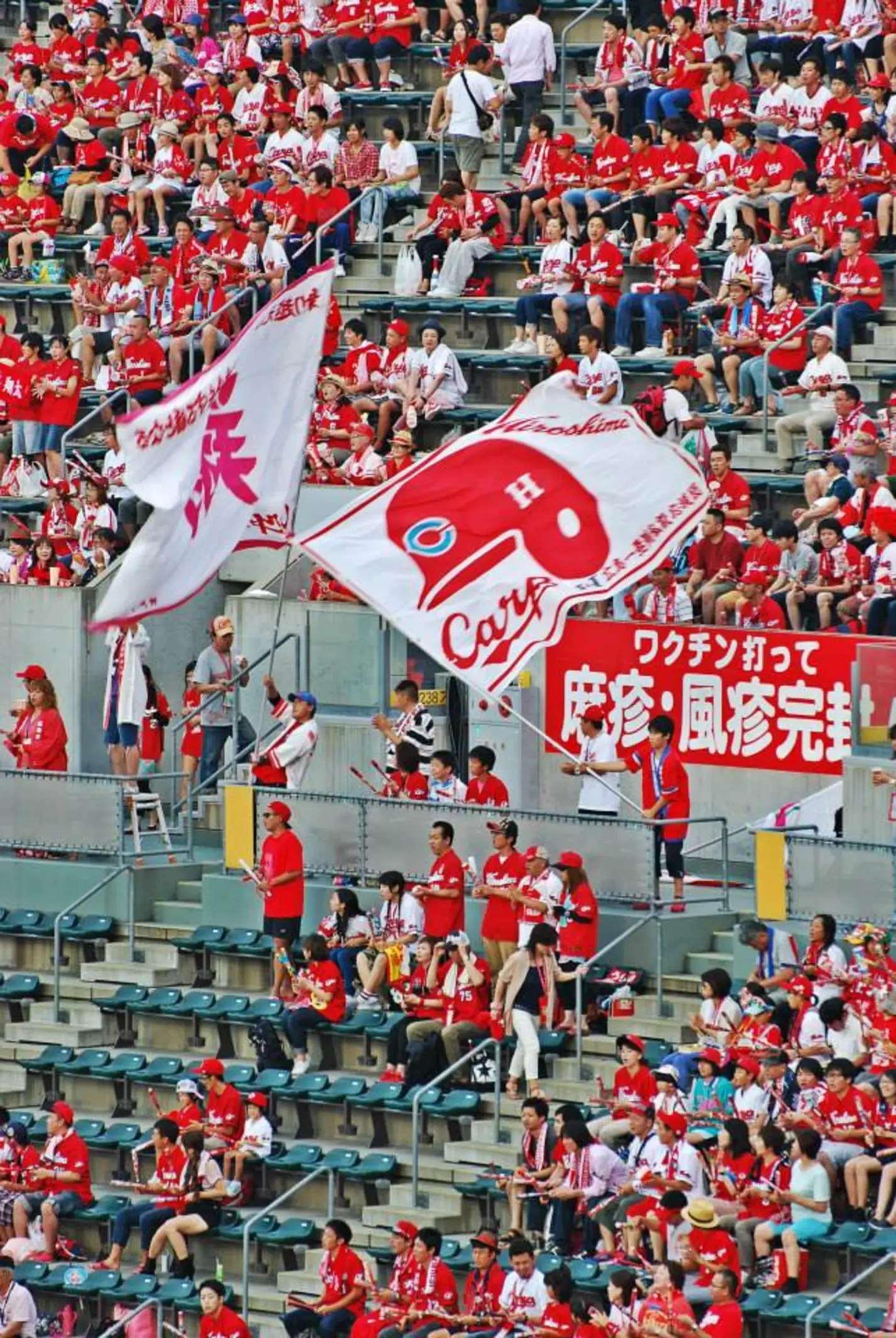 Hiroshima Carp