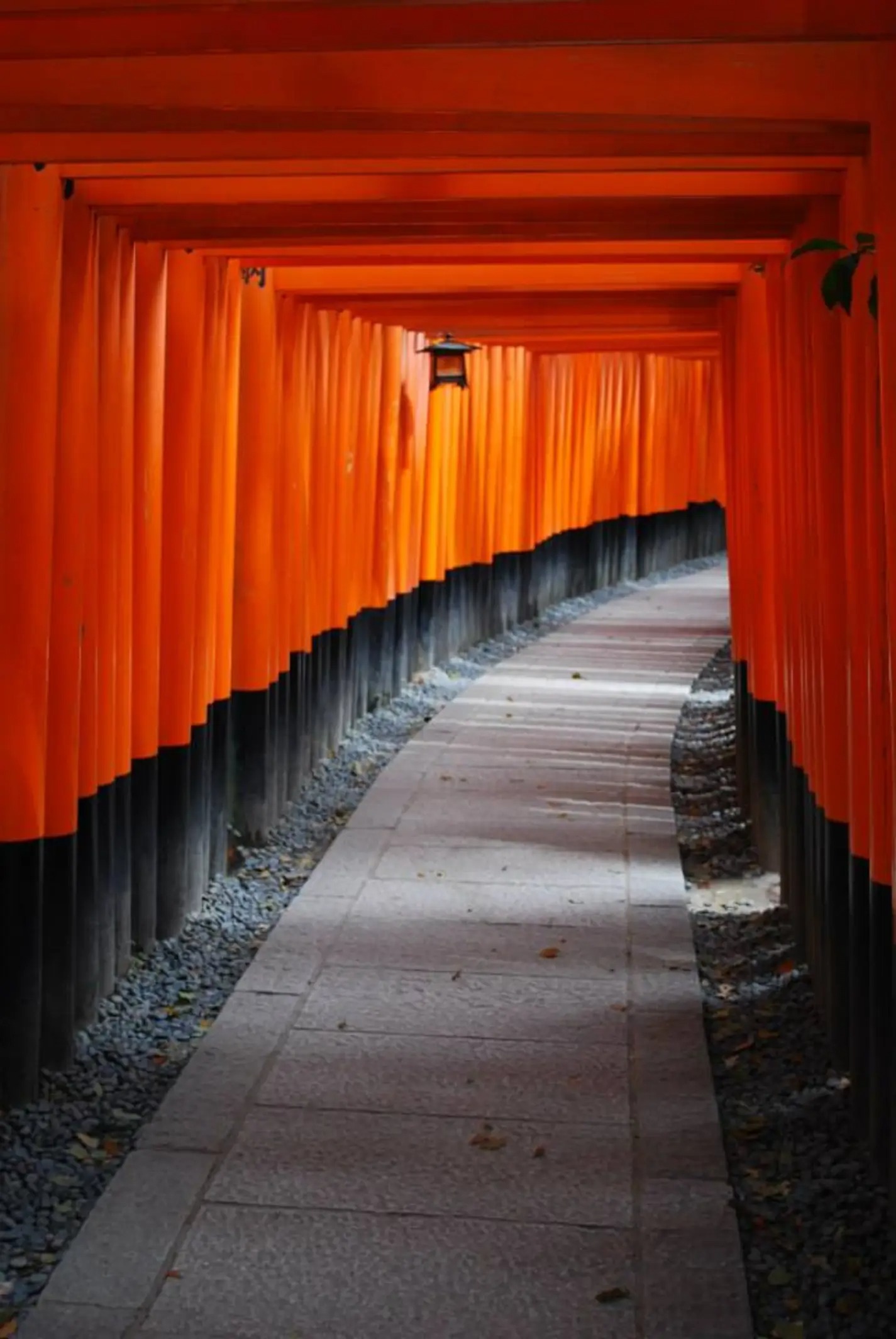 Torii