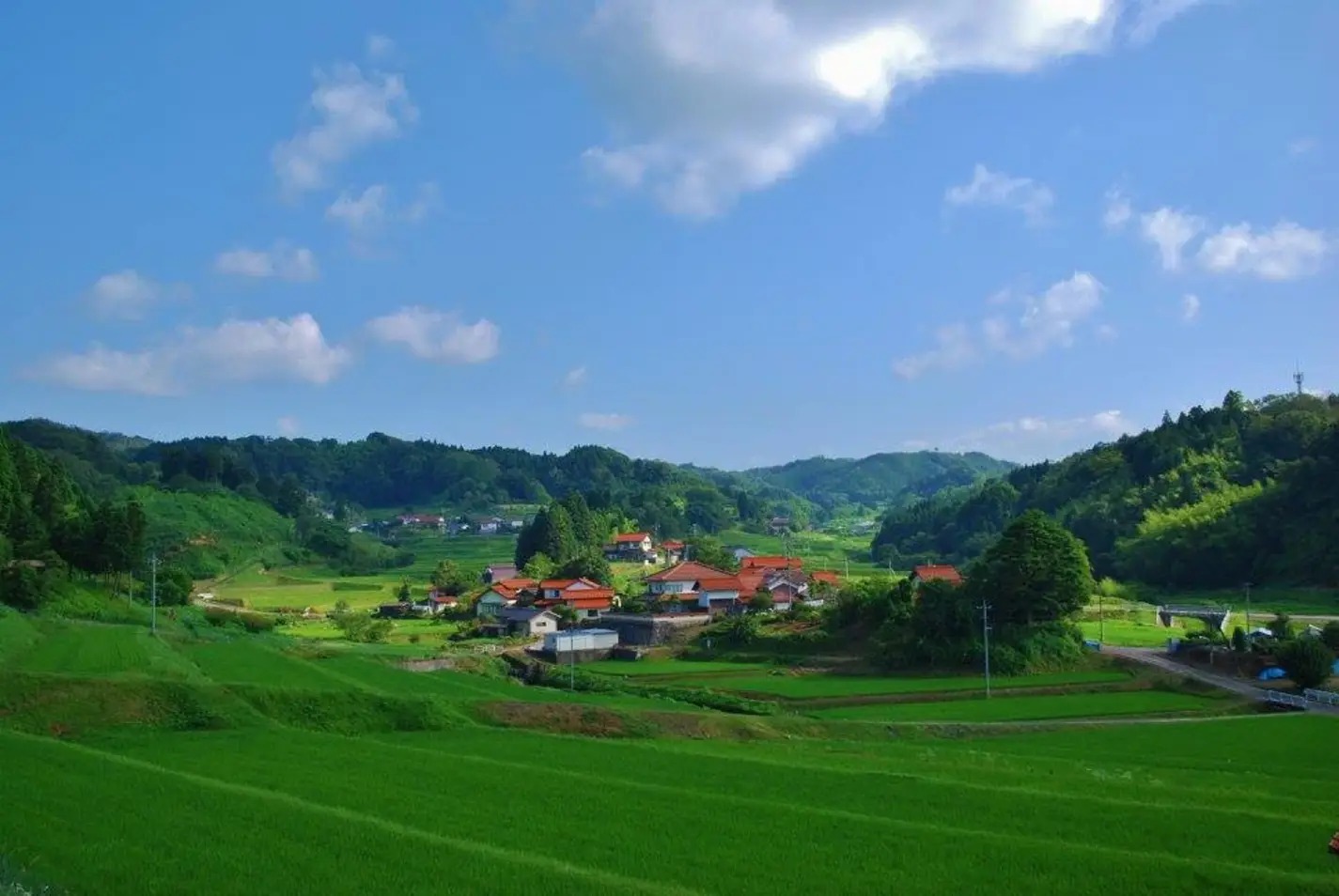 Scenic inaka