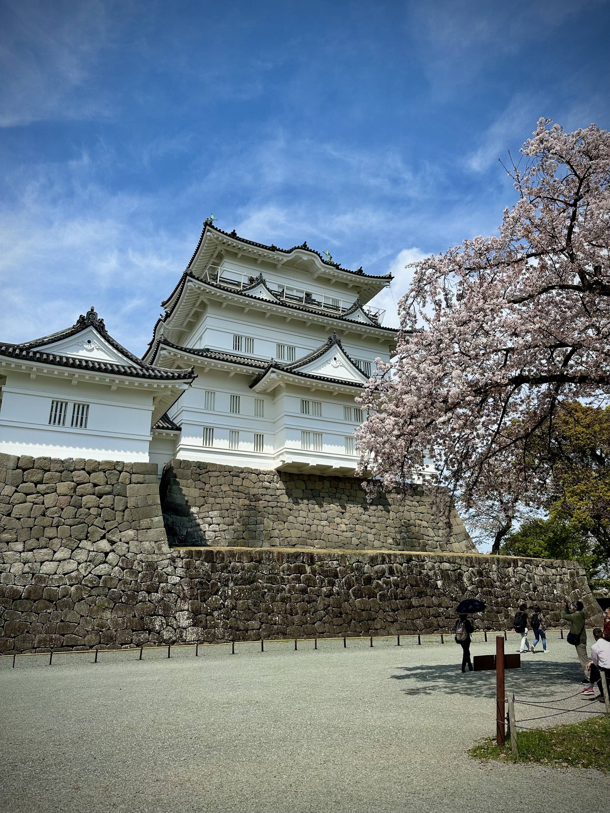 Odawara Castle in Spring
