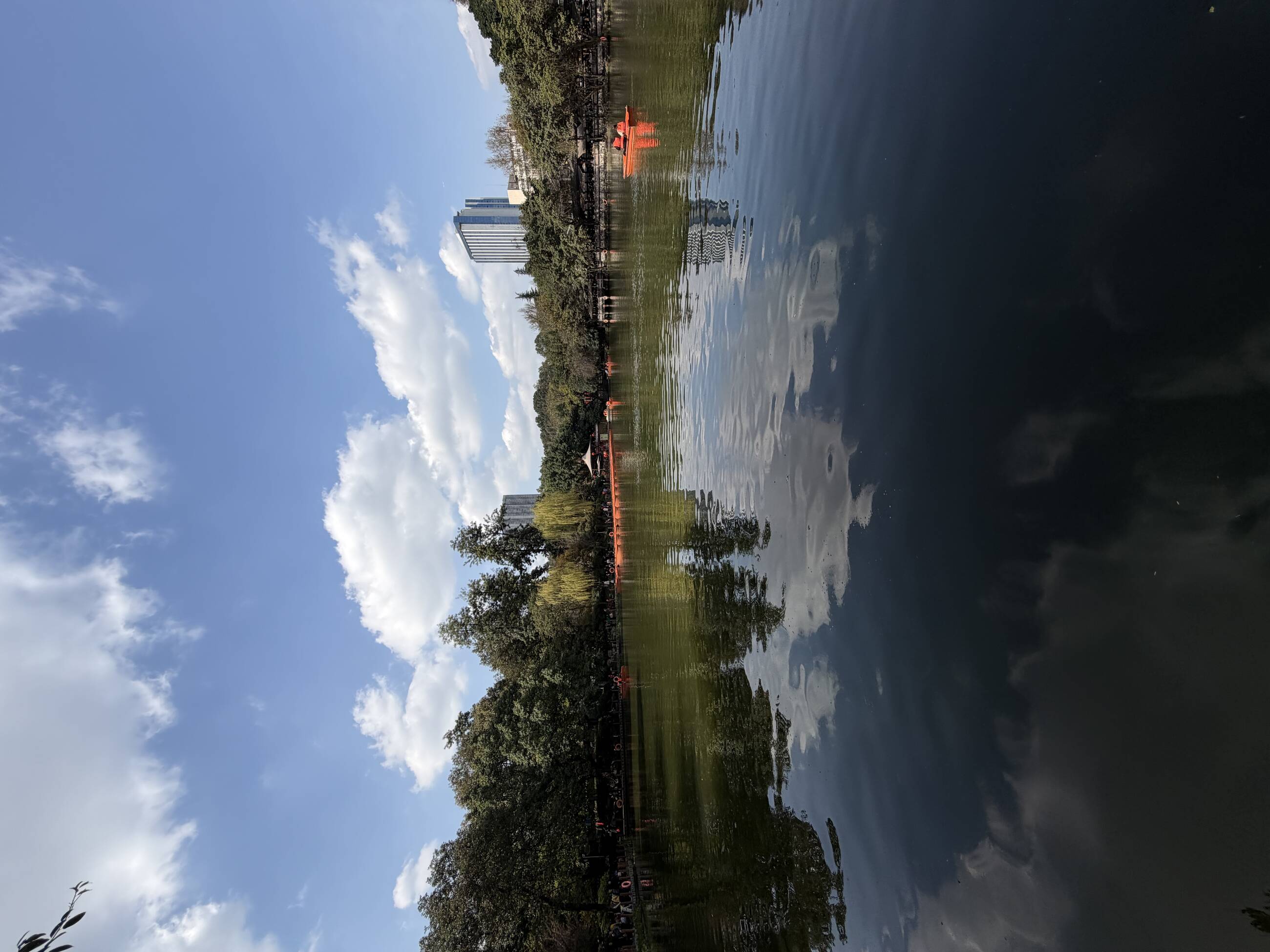 people’s park