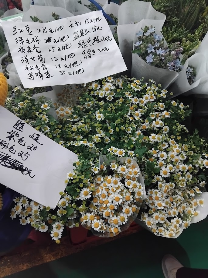 daisies at flower market