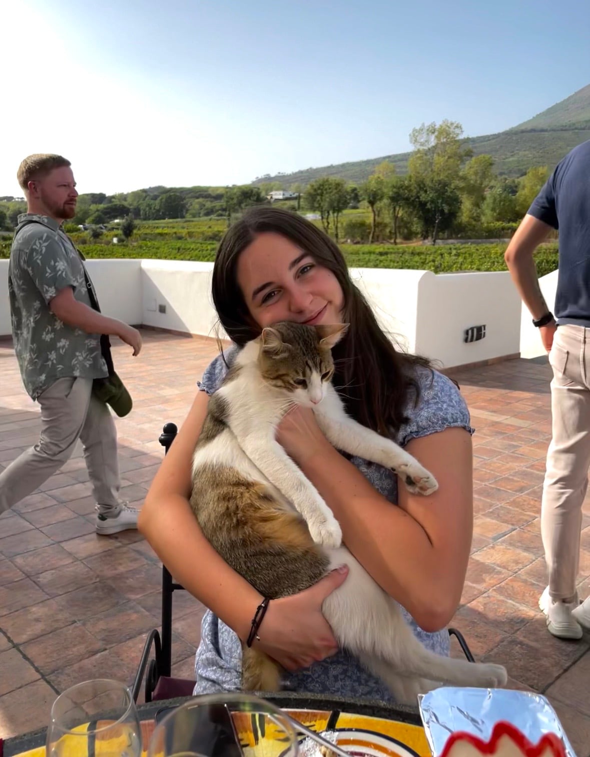 Mt. Vesuvius cat