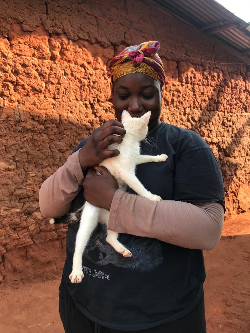 Community Cat