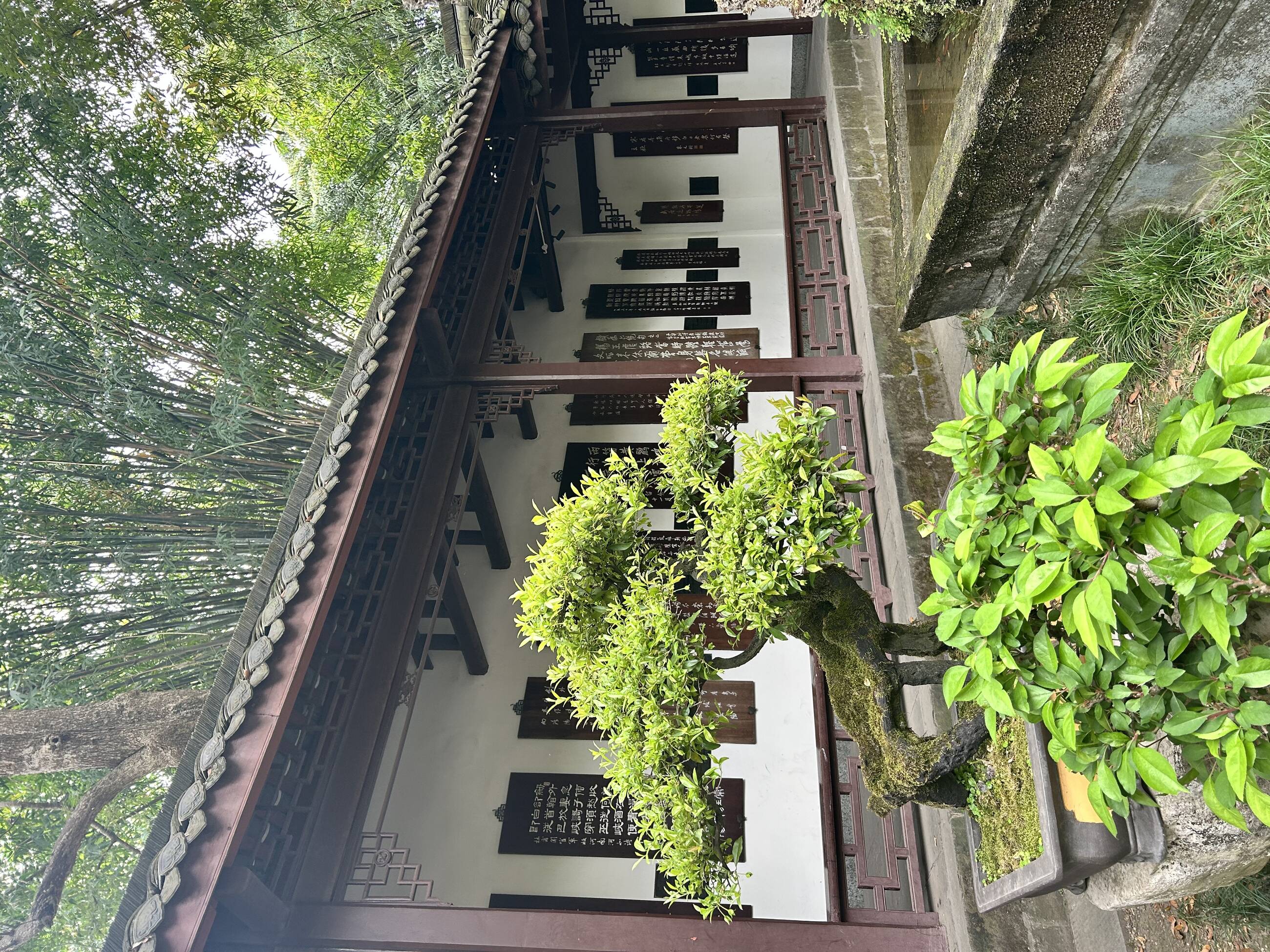 Du Fu
