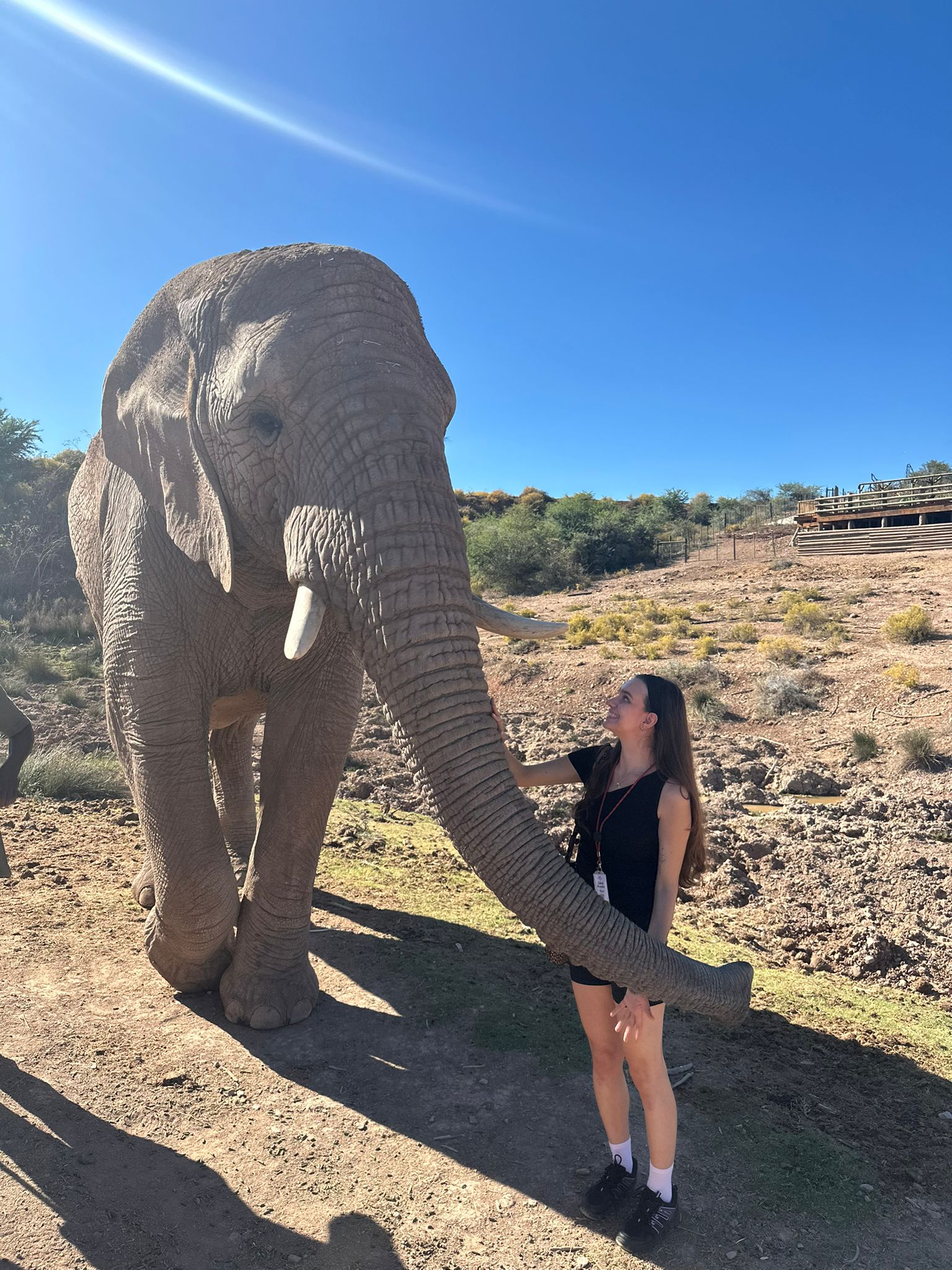 Walking with the big giants