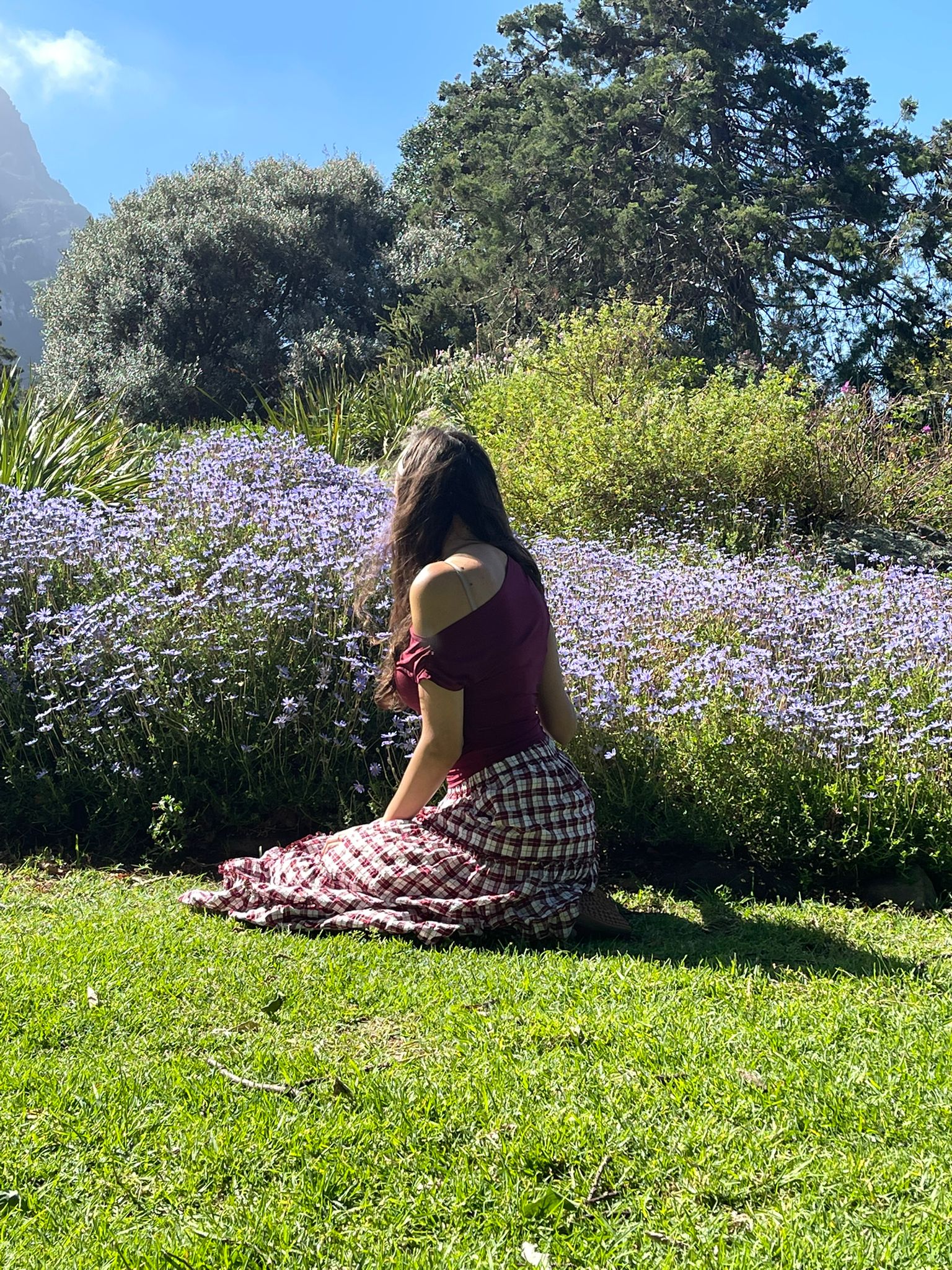 Picnic in Kirstenbosch Garden
