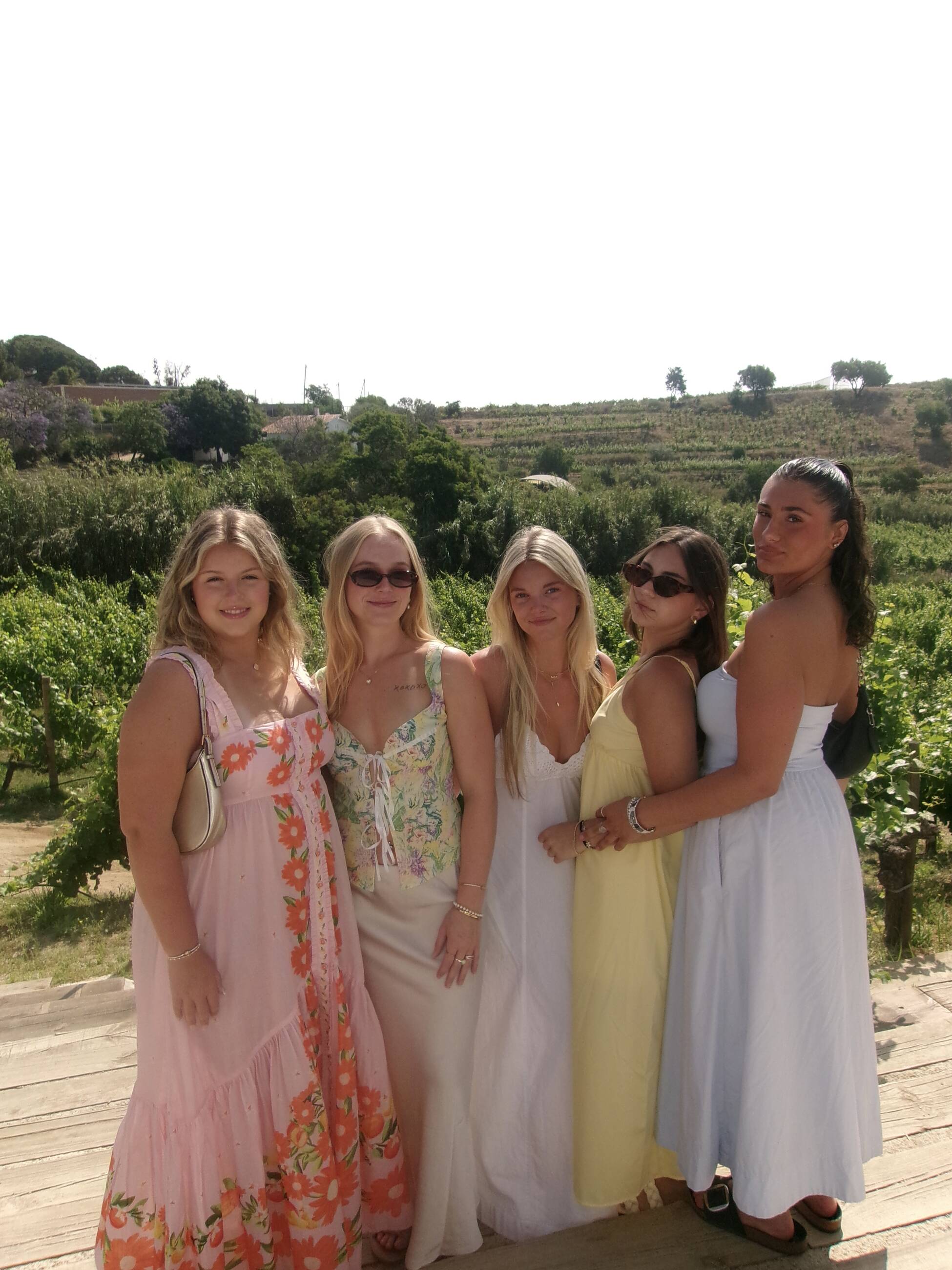 Alta Alella Vineyard 