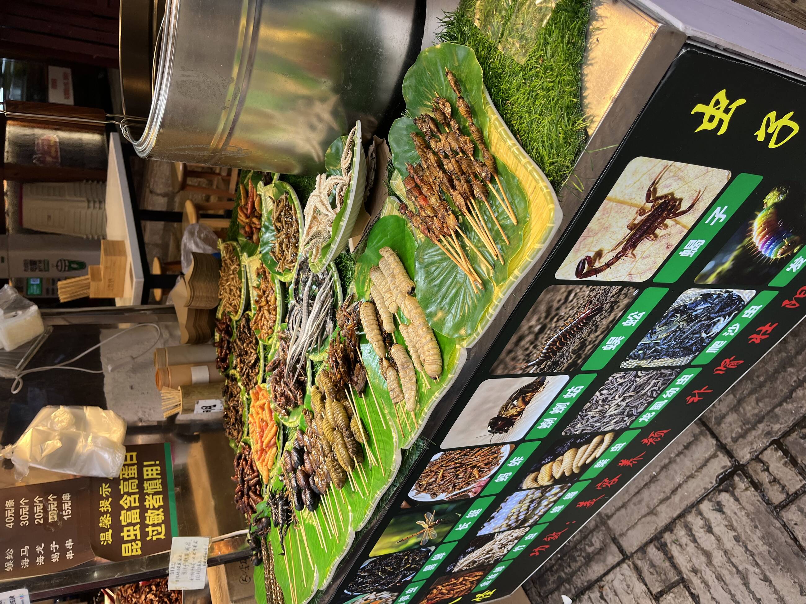 Mmm! Des brochettes aux insectes 