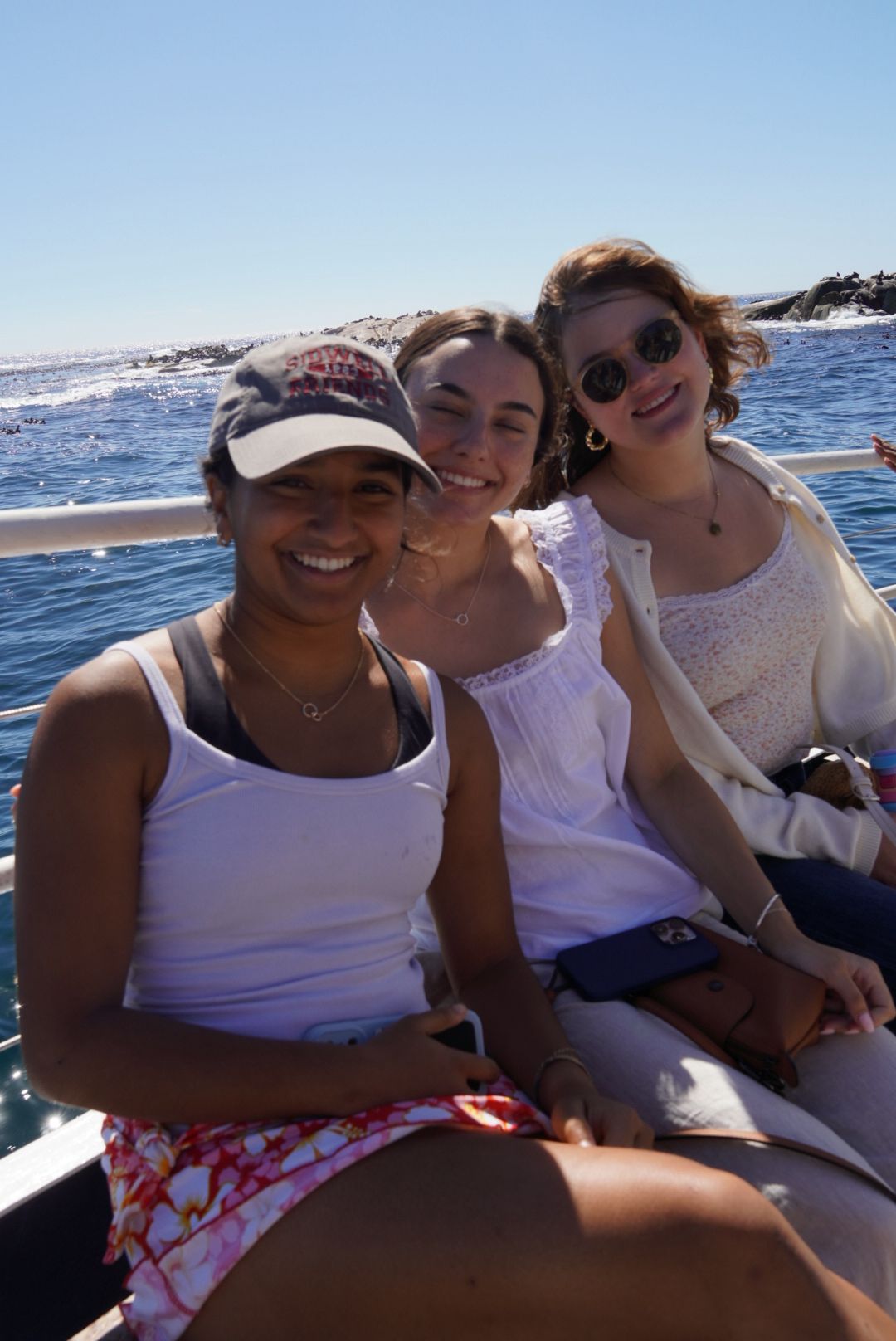 Seal Cruise