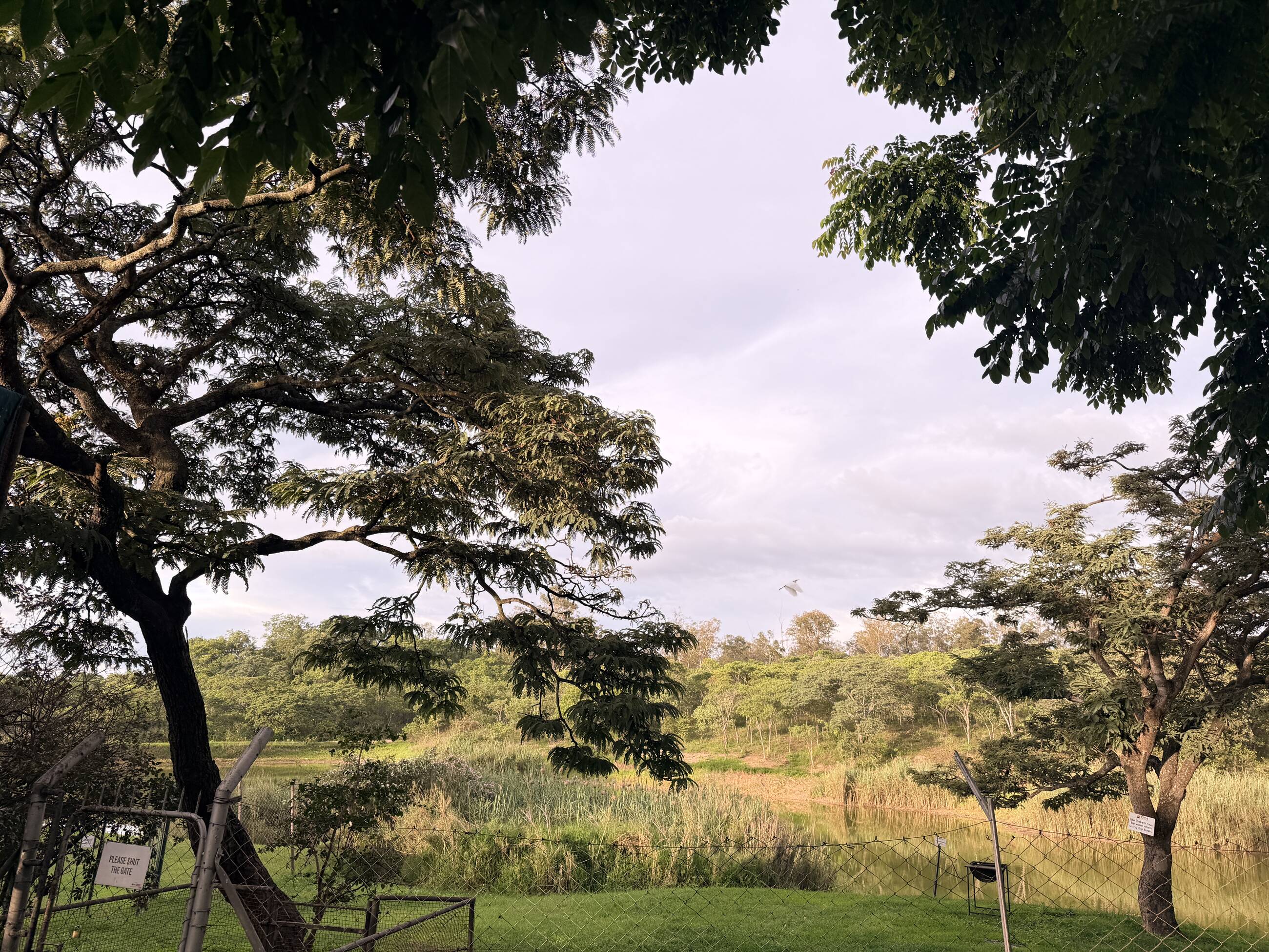 Twala backyard 