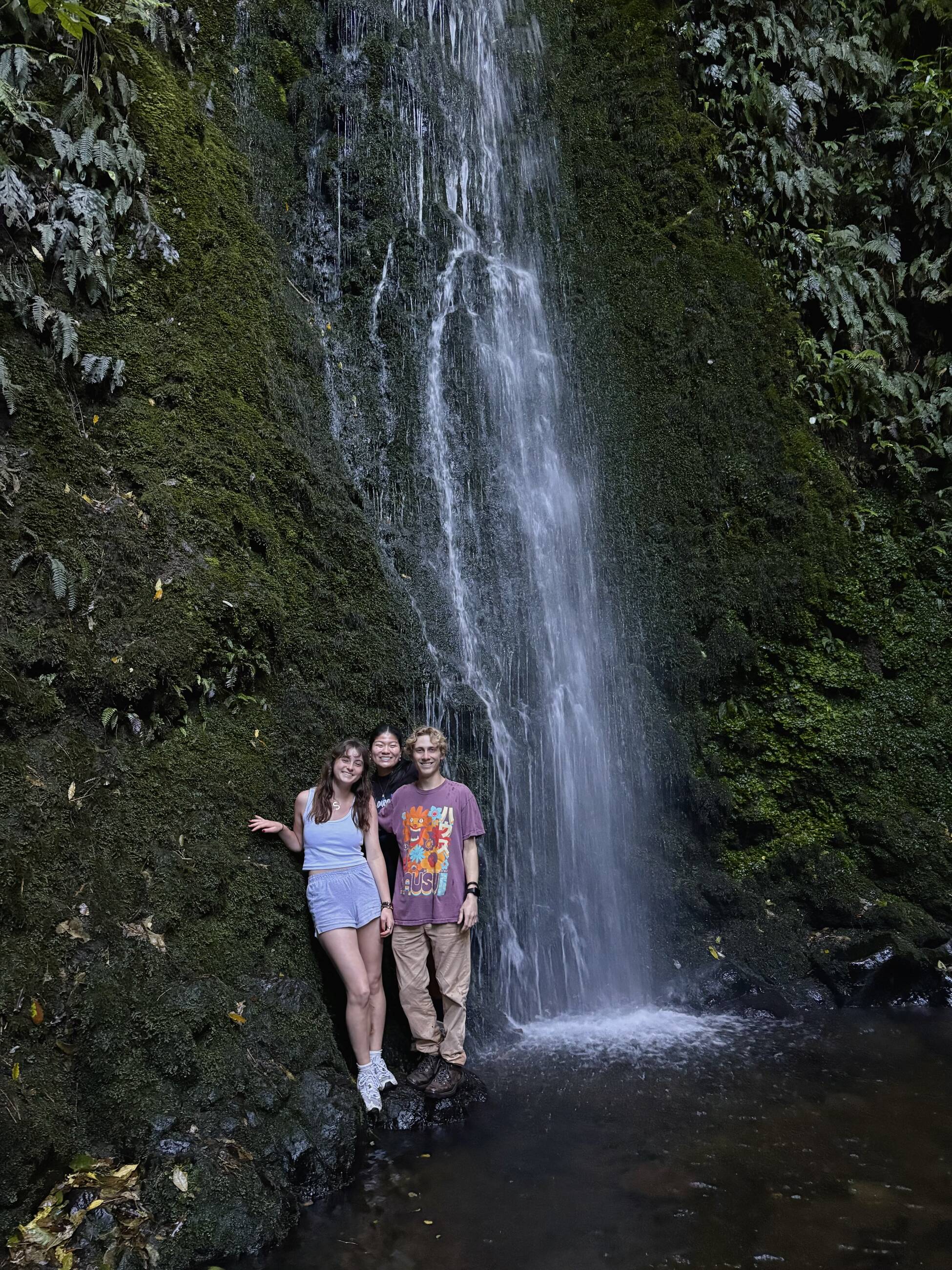 Waterfall hike near the University of Otago 