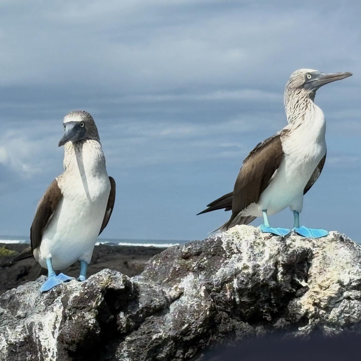 Unique friends