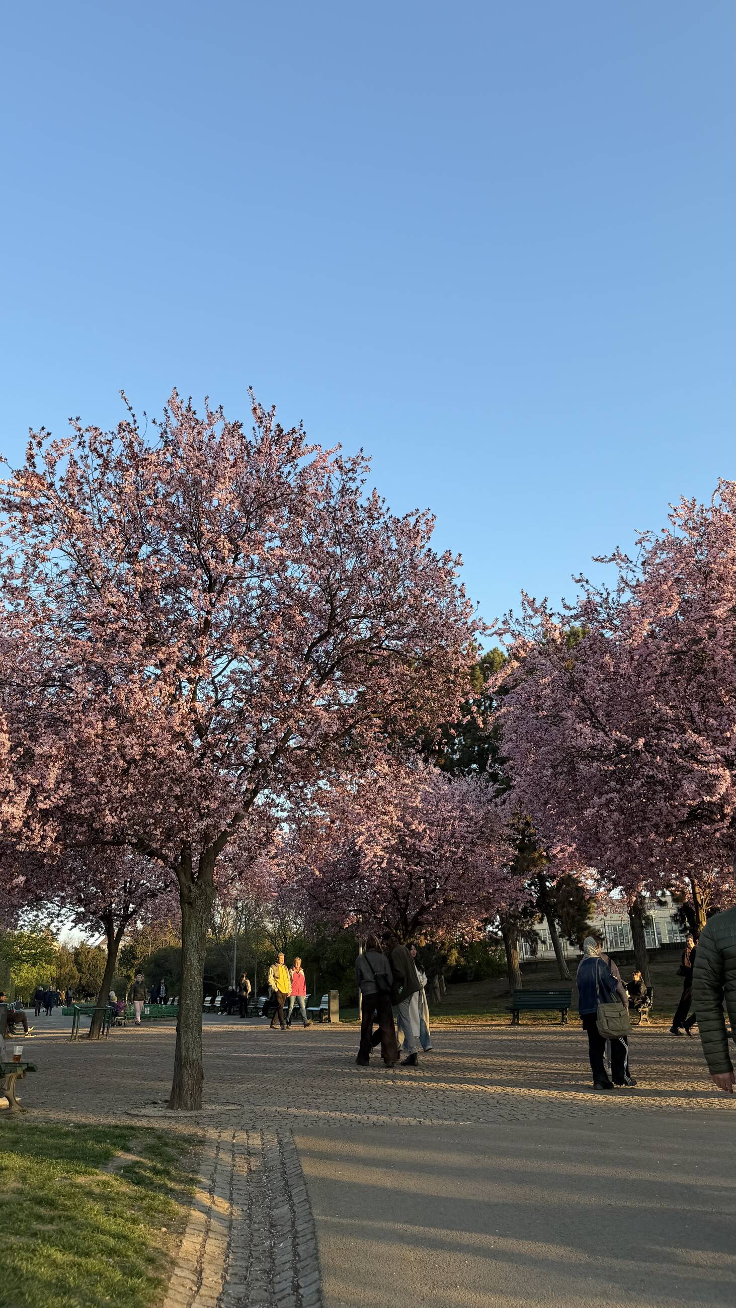 Park in Vinohrady during the spring!
