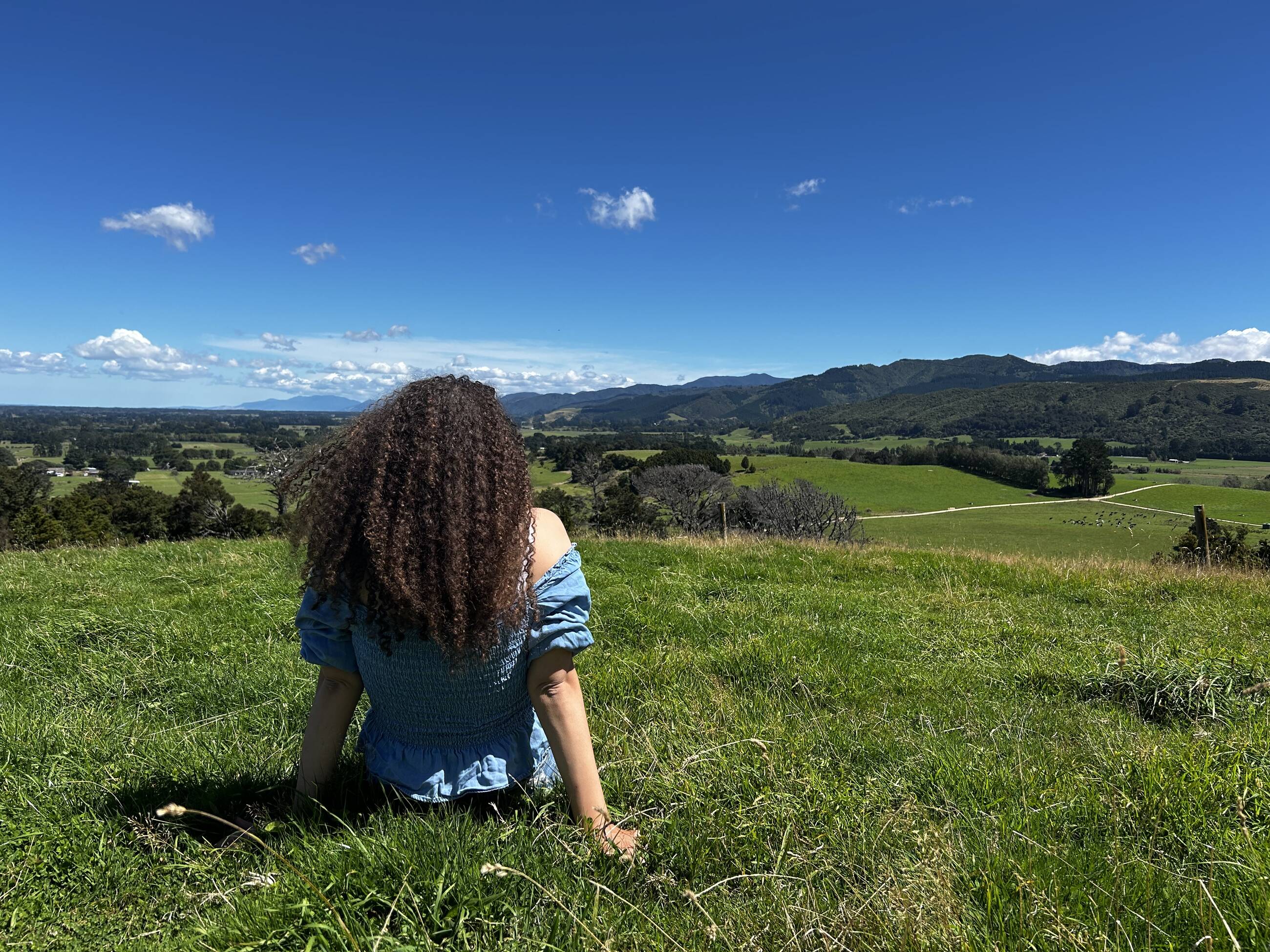 Peak of a mountain hike in Martinborough 