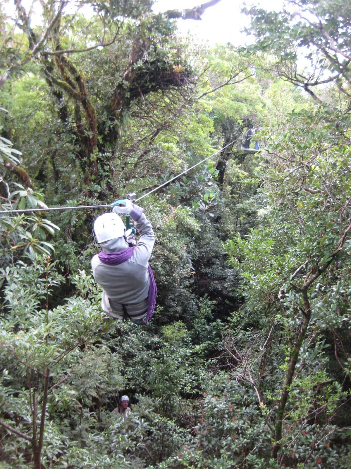 Ziplining in the rainforest