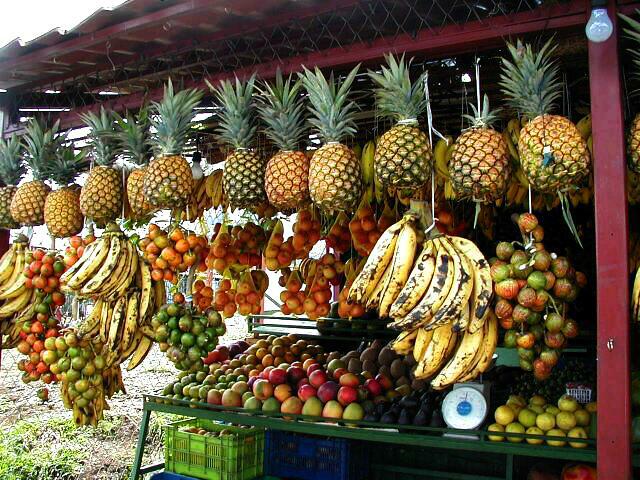So much tropical fruit! 