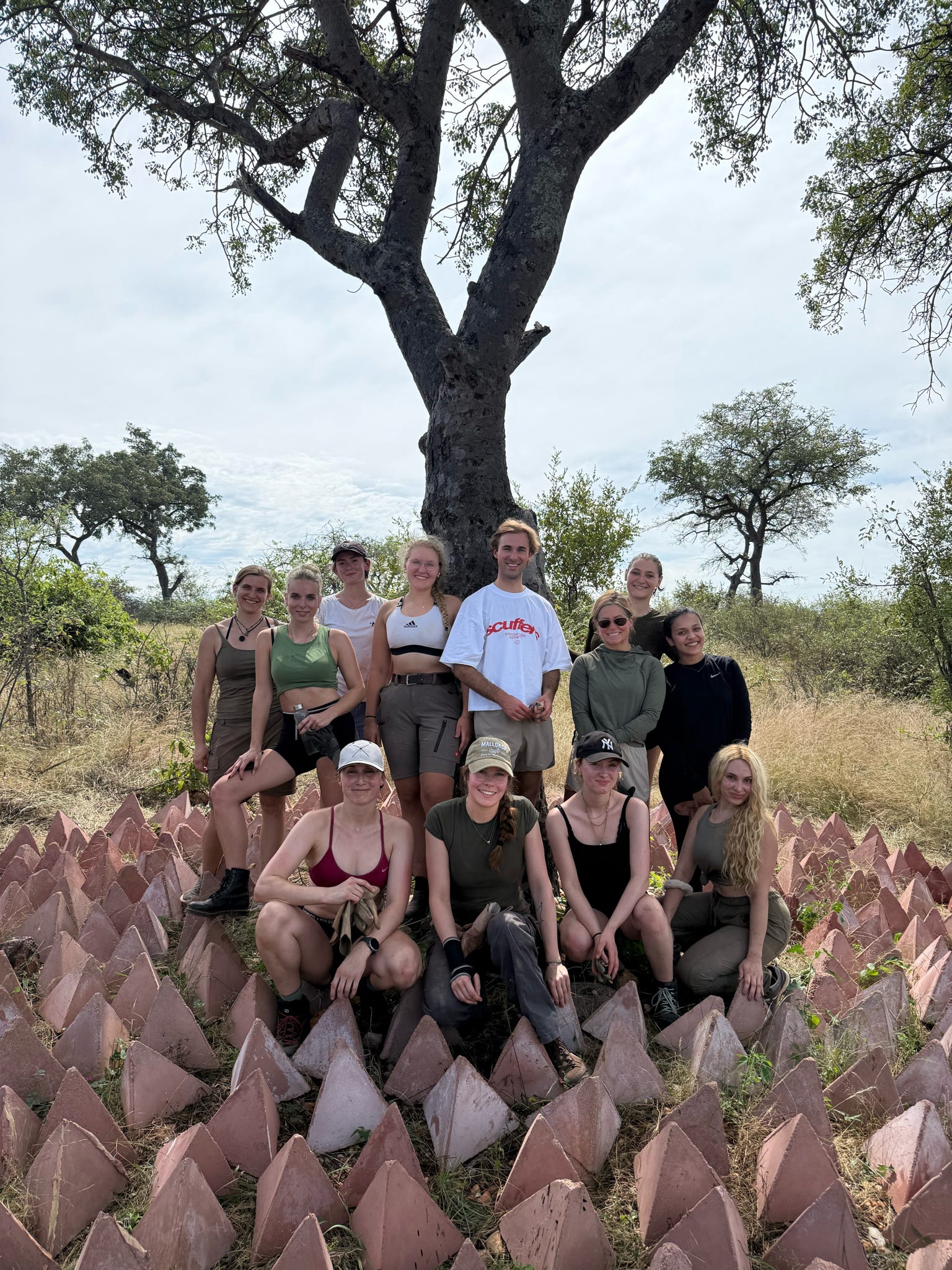 Saving a Marula Tree!
