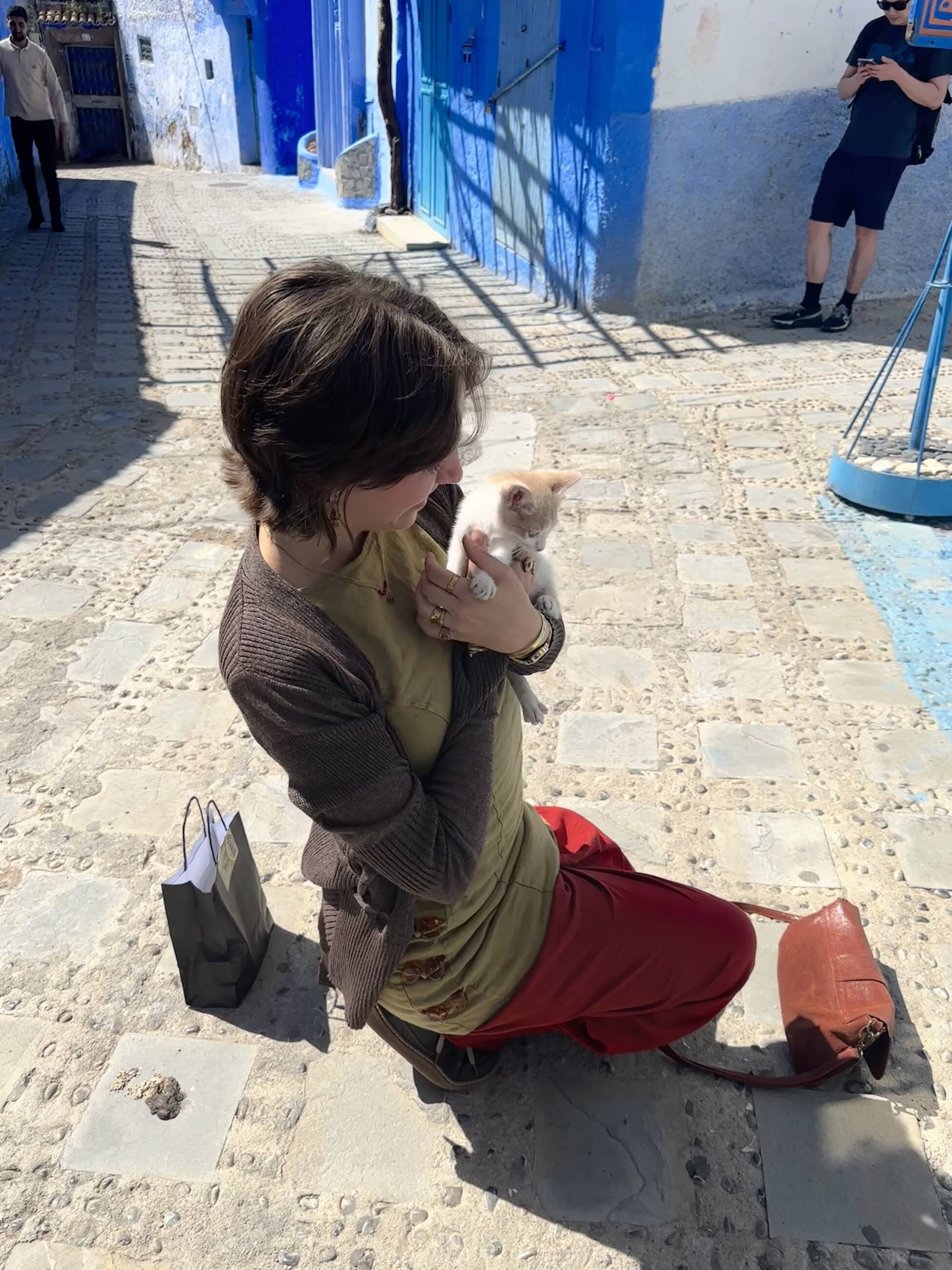 so many cats in morocco!