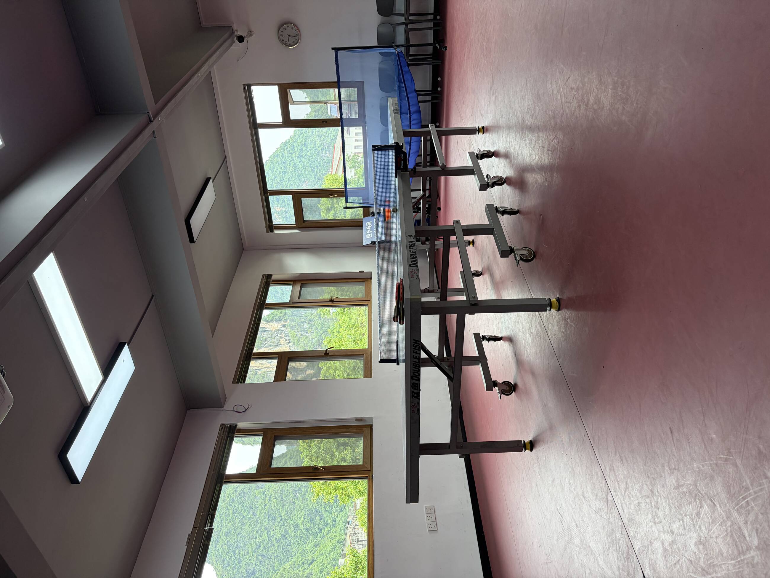 Pingpong area
