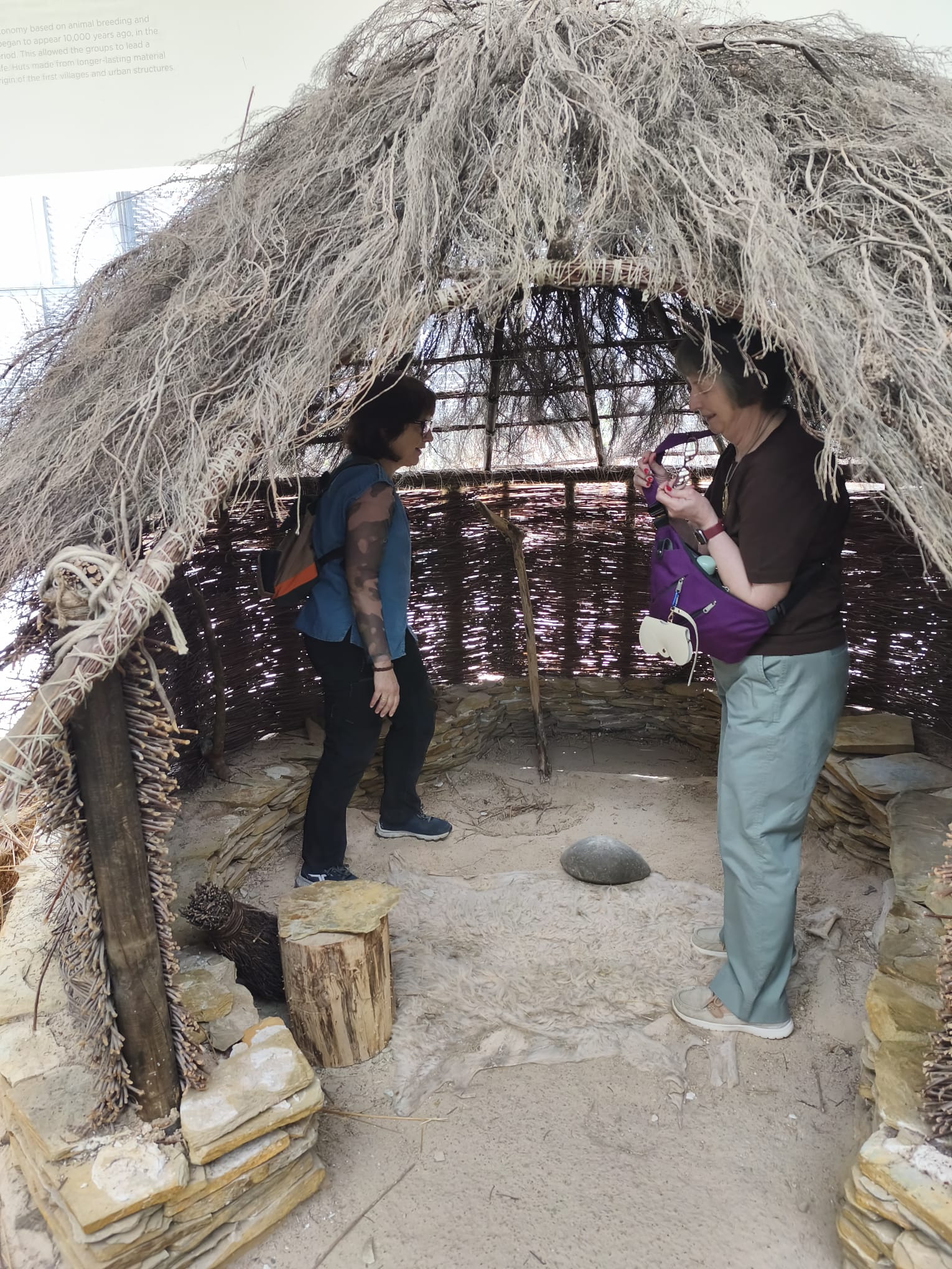 CAREX Archeological Experience, near Burgos
