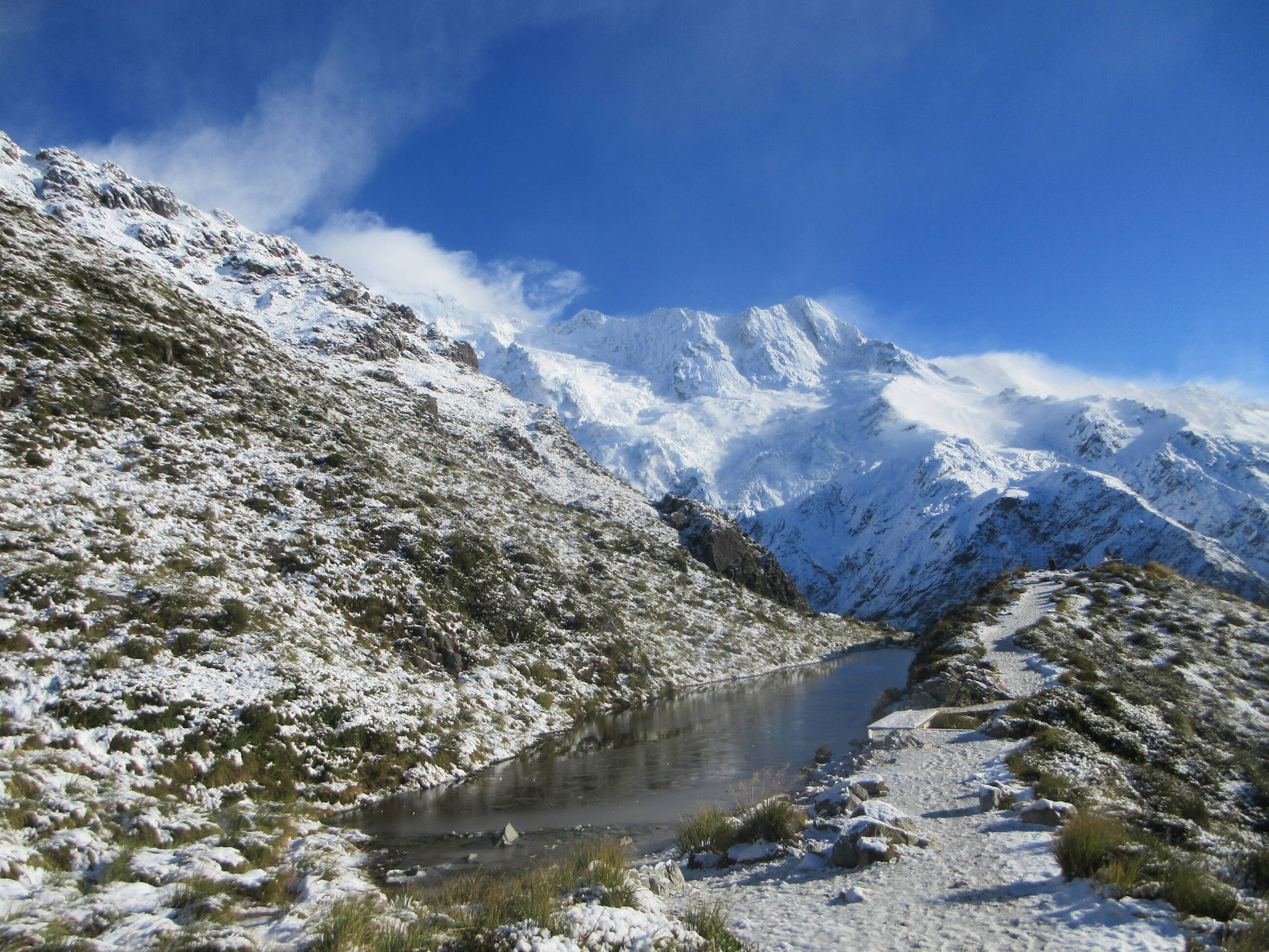 Mt. Cook (Sealy Tarn trail)