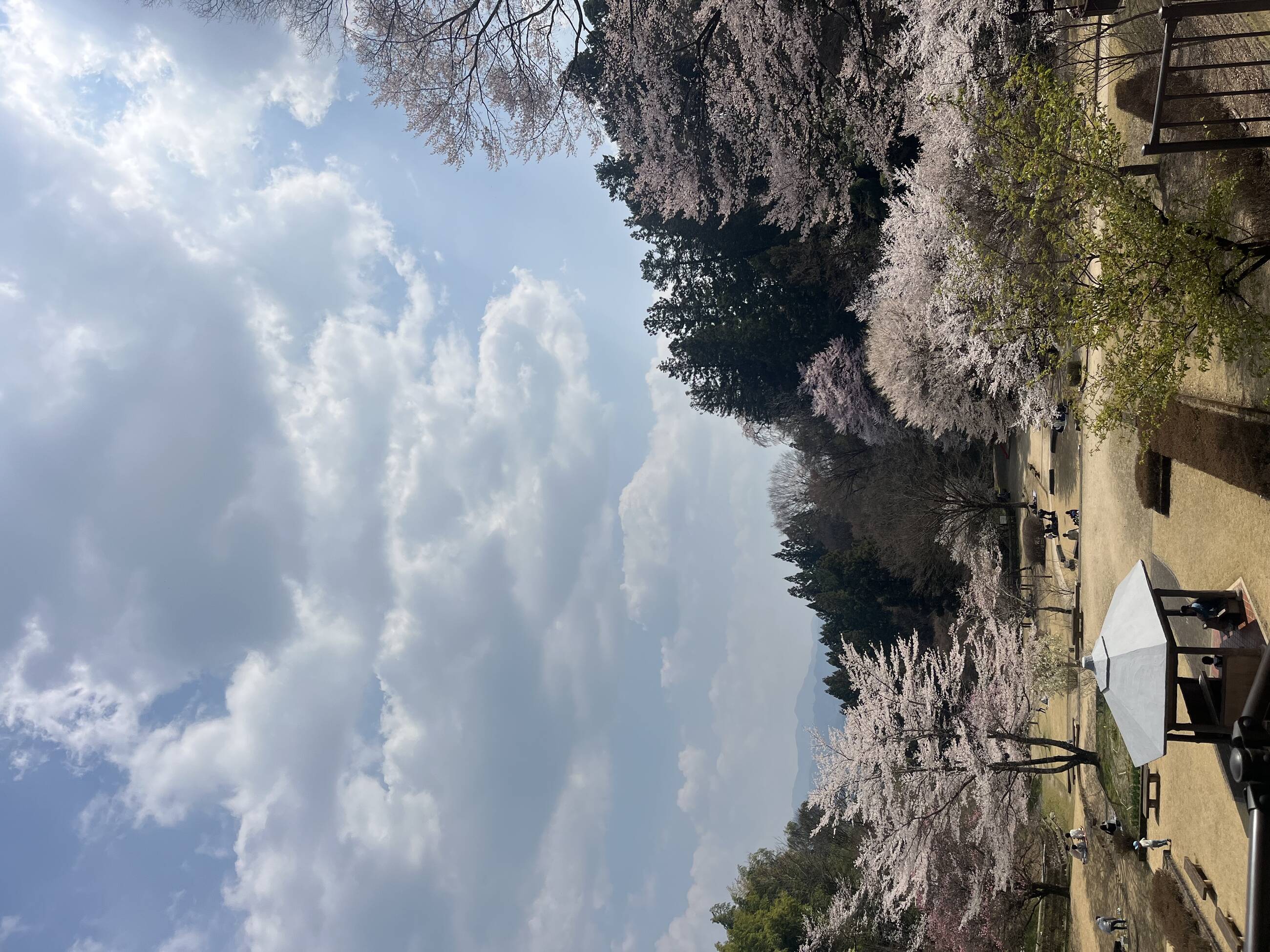 Iida park
