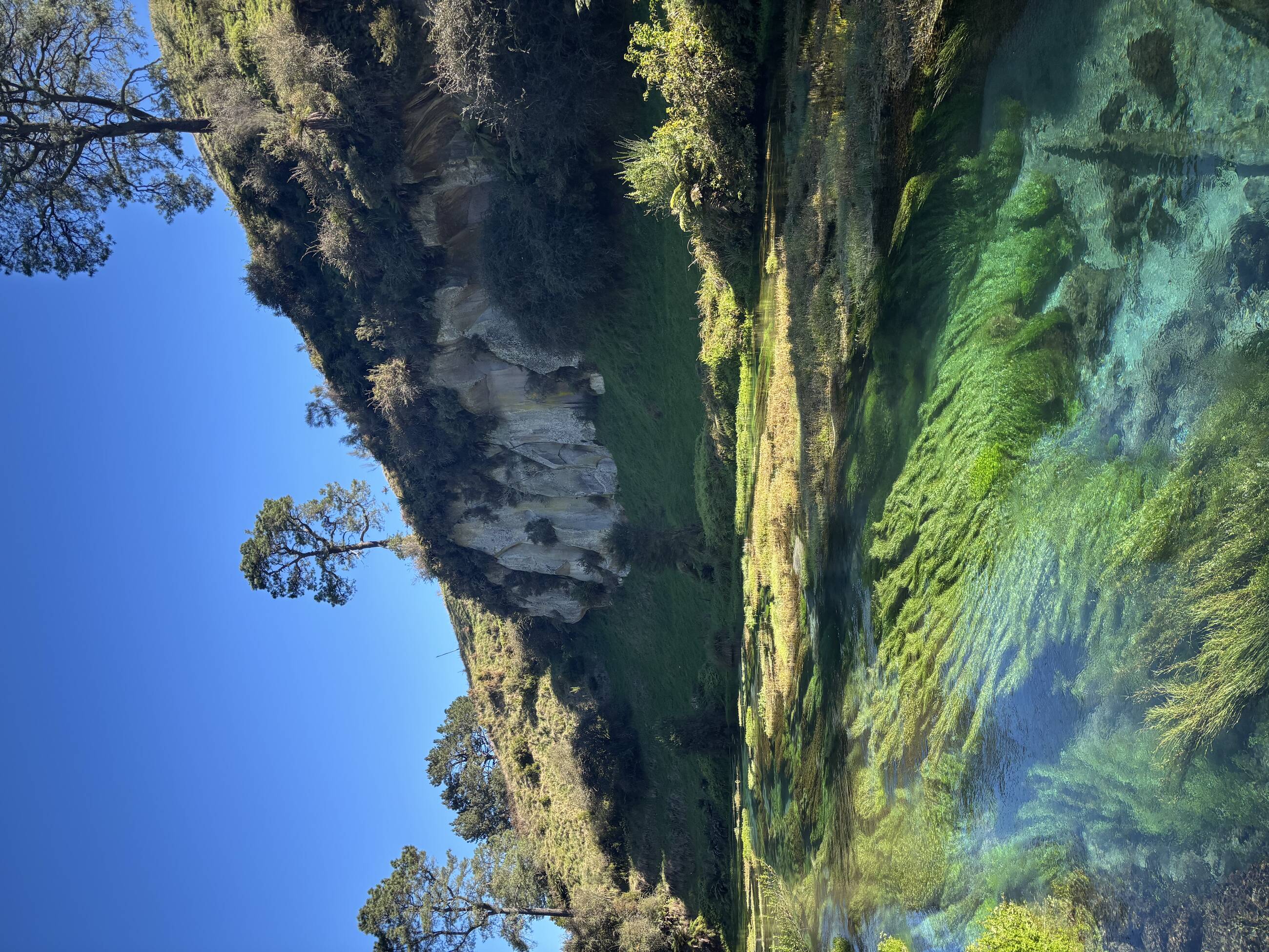 Blue Springs