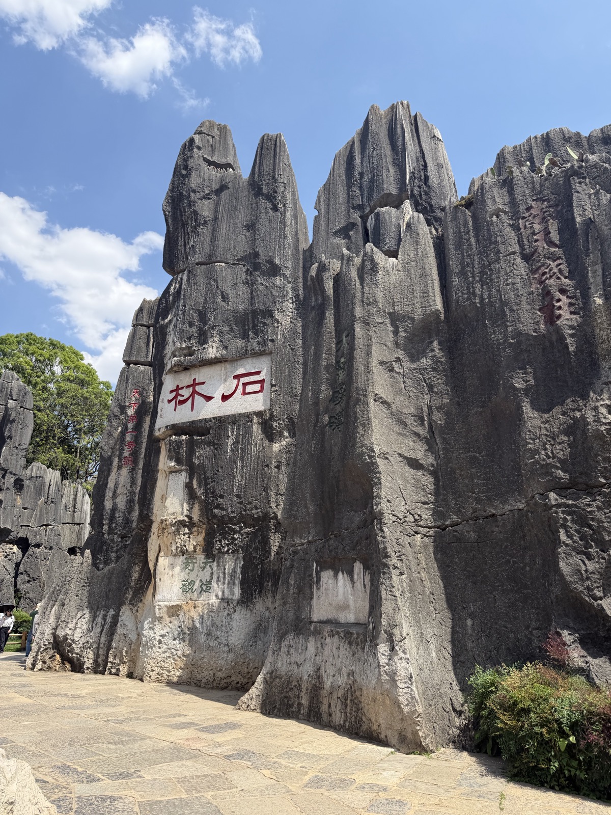 Loved the excursion to Shilin