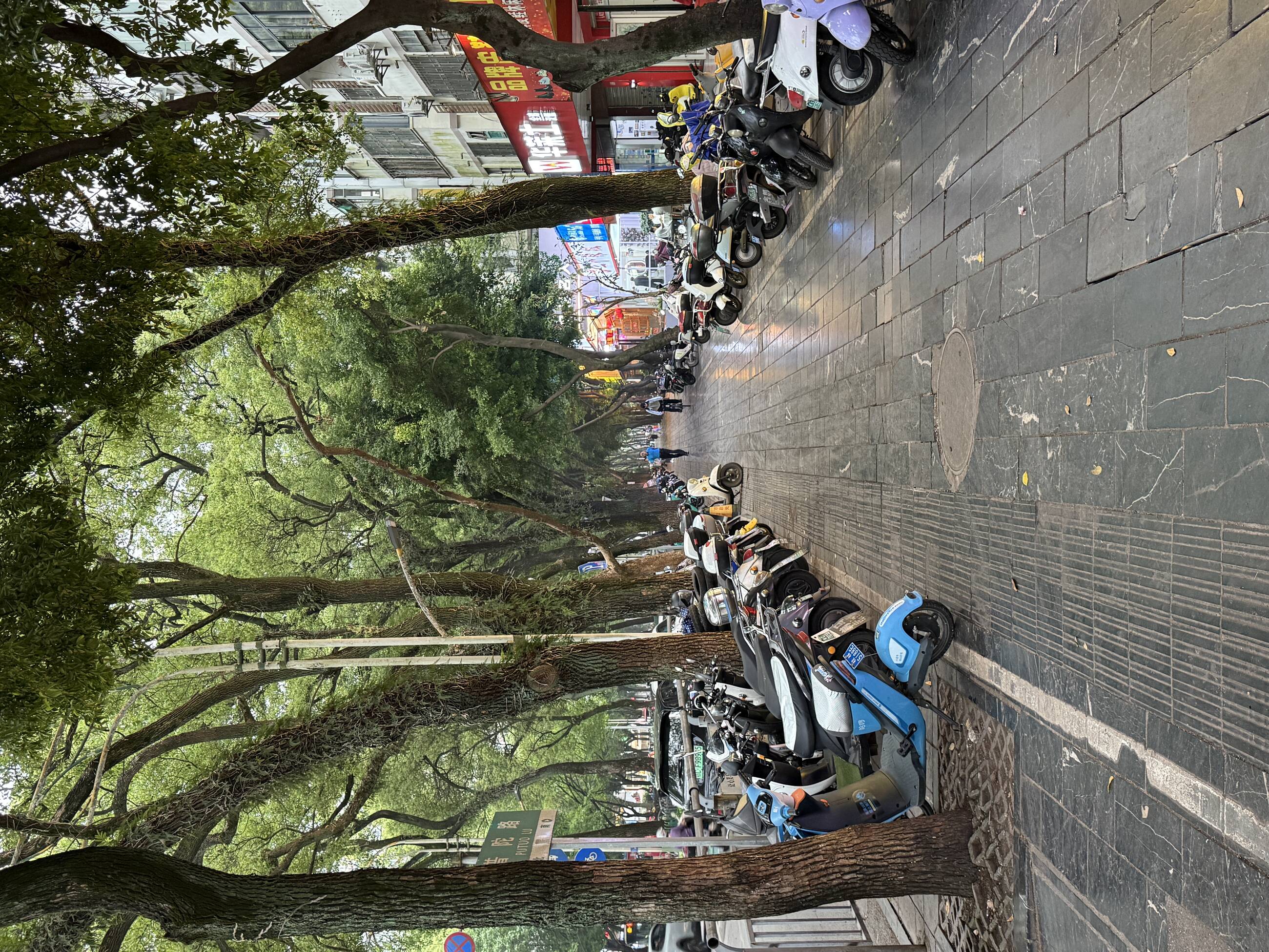 CLI is in a beautifully lush part of the city with lots of restaurants and shops. 
