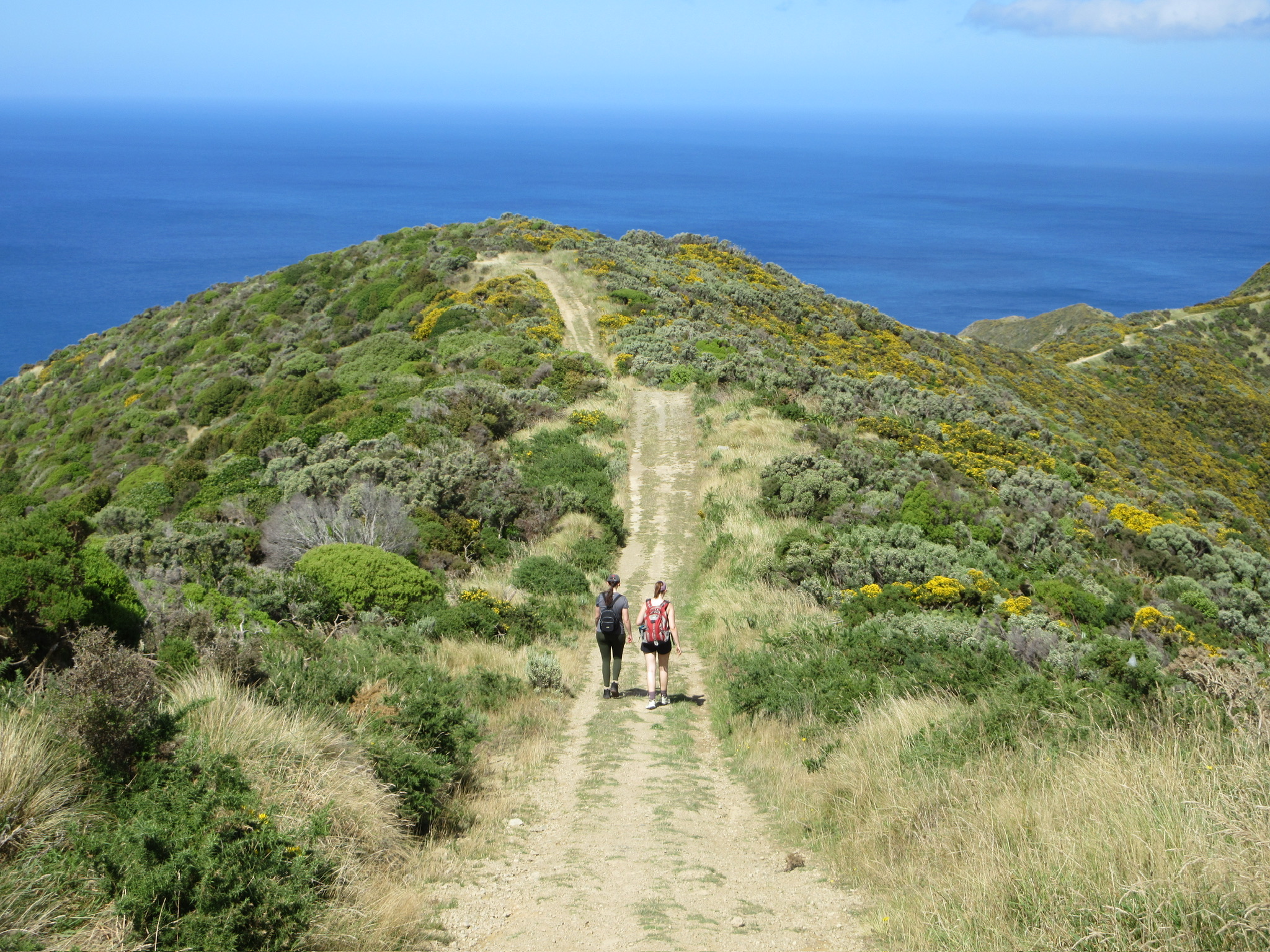 Red Rocks, Wellington
