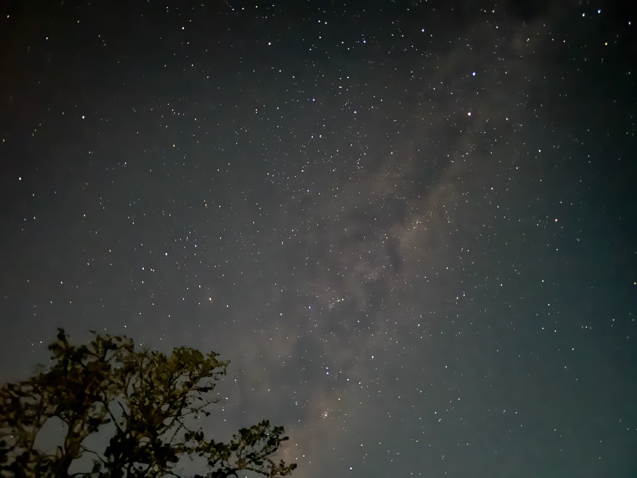 Waitomo stargazing