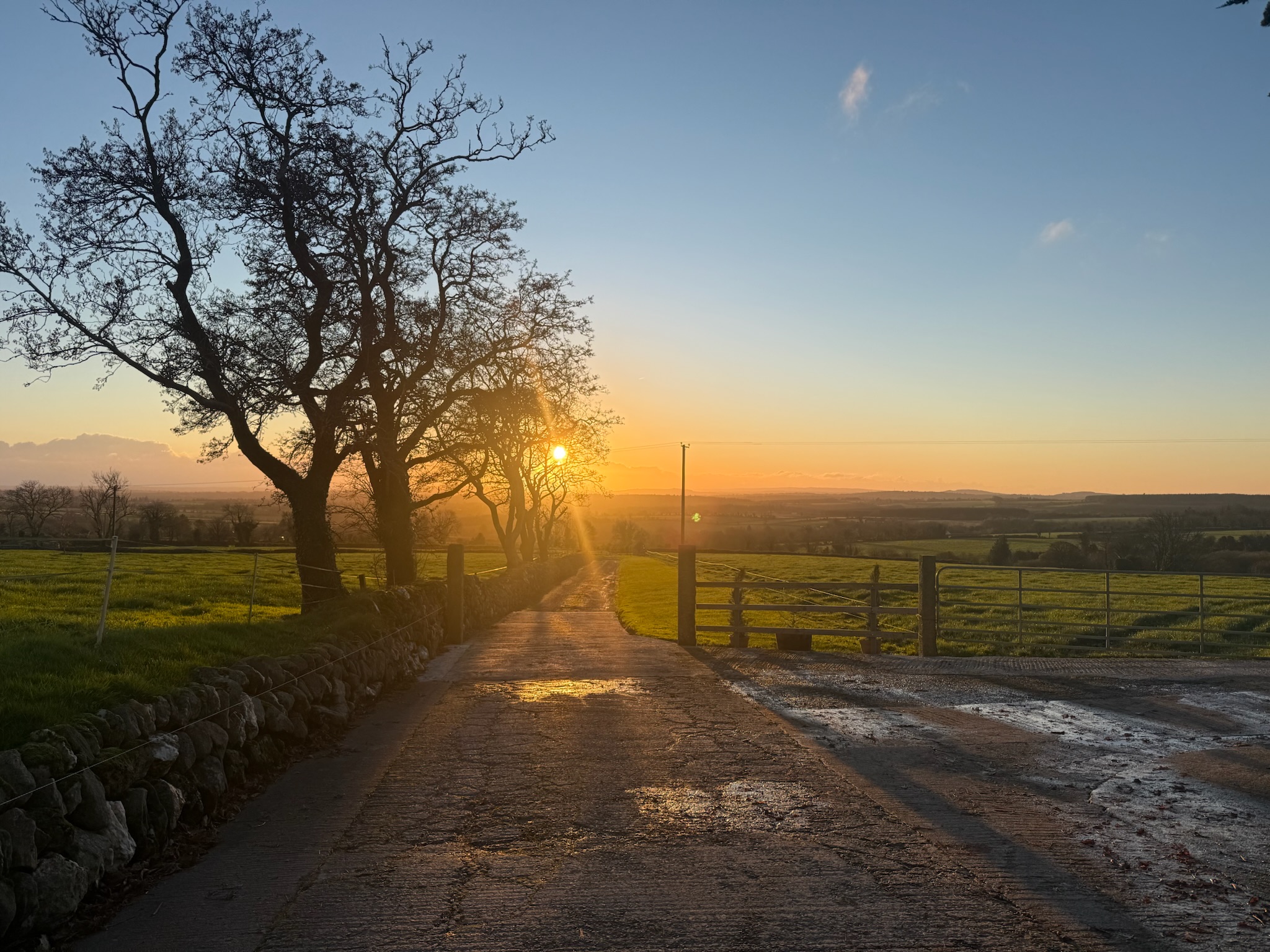 Early morning walks in Ireland, reflecting, journaling, reading, exercising, and having epic chat sessions with new dear friends