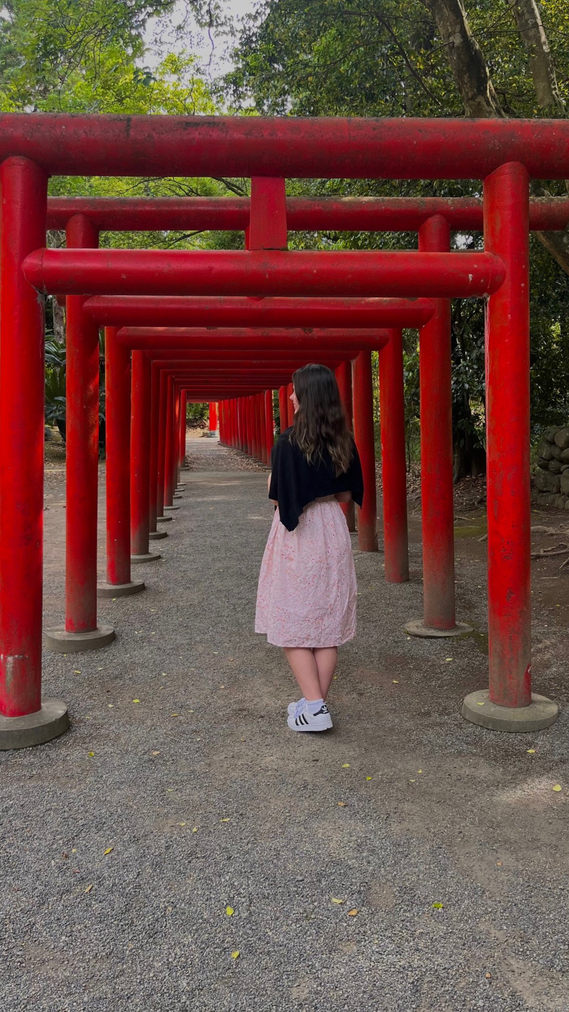 In Miyazaki 