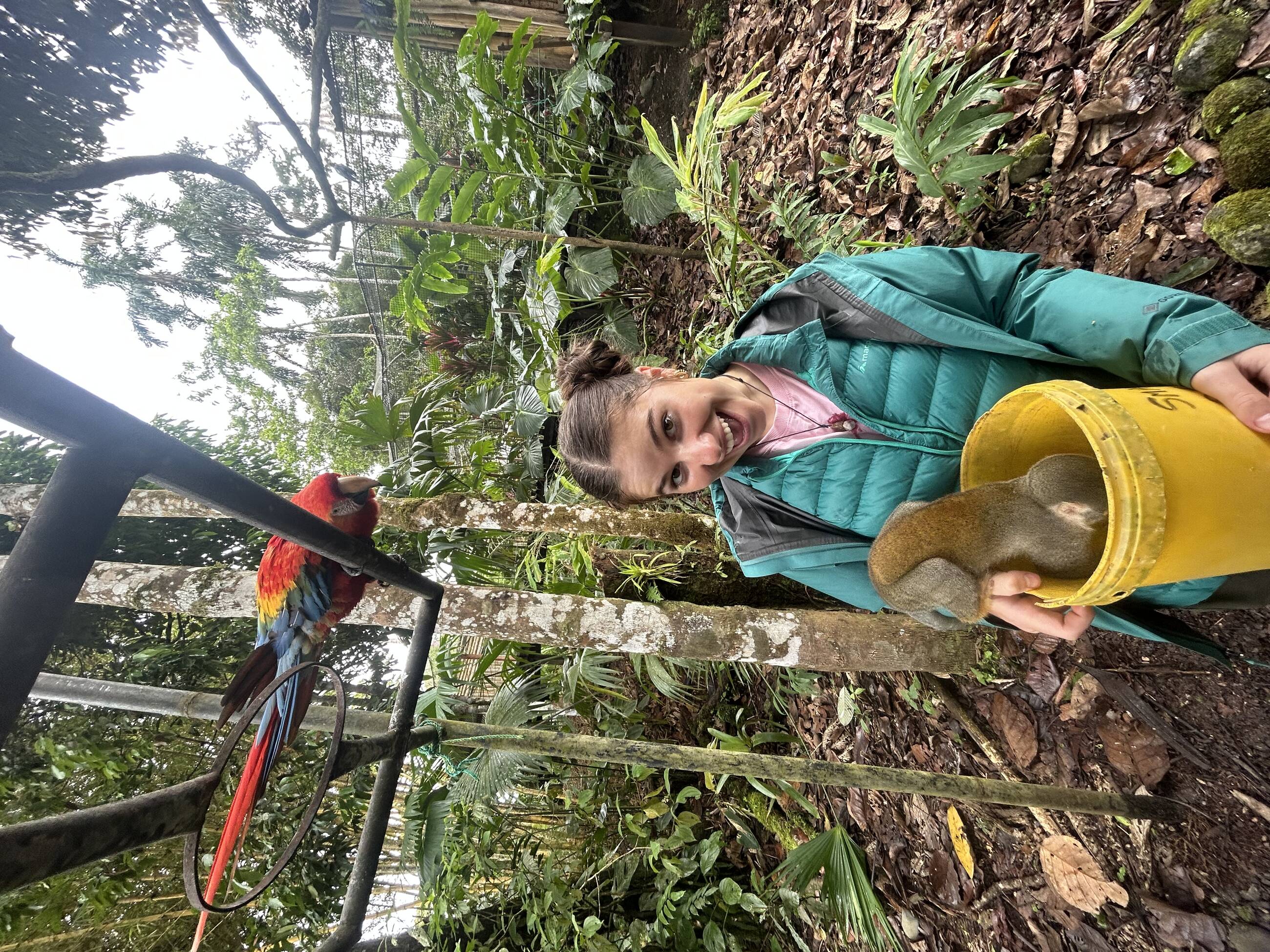 Feeding the birds and monkeys !