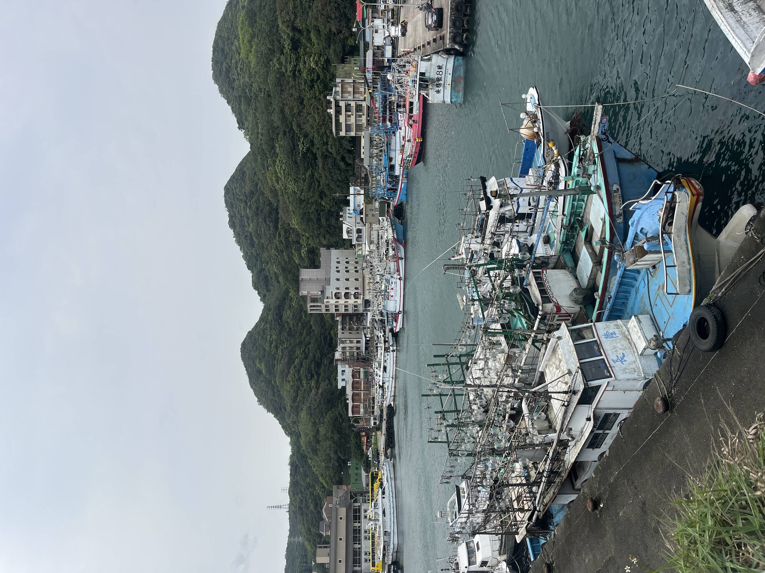 Badouzi port (Squid fishing)