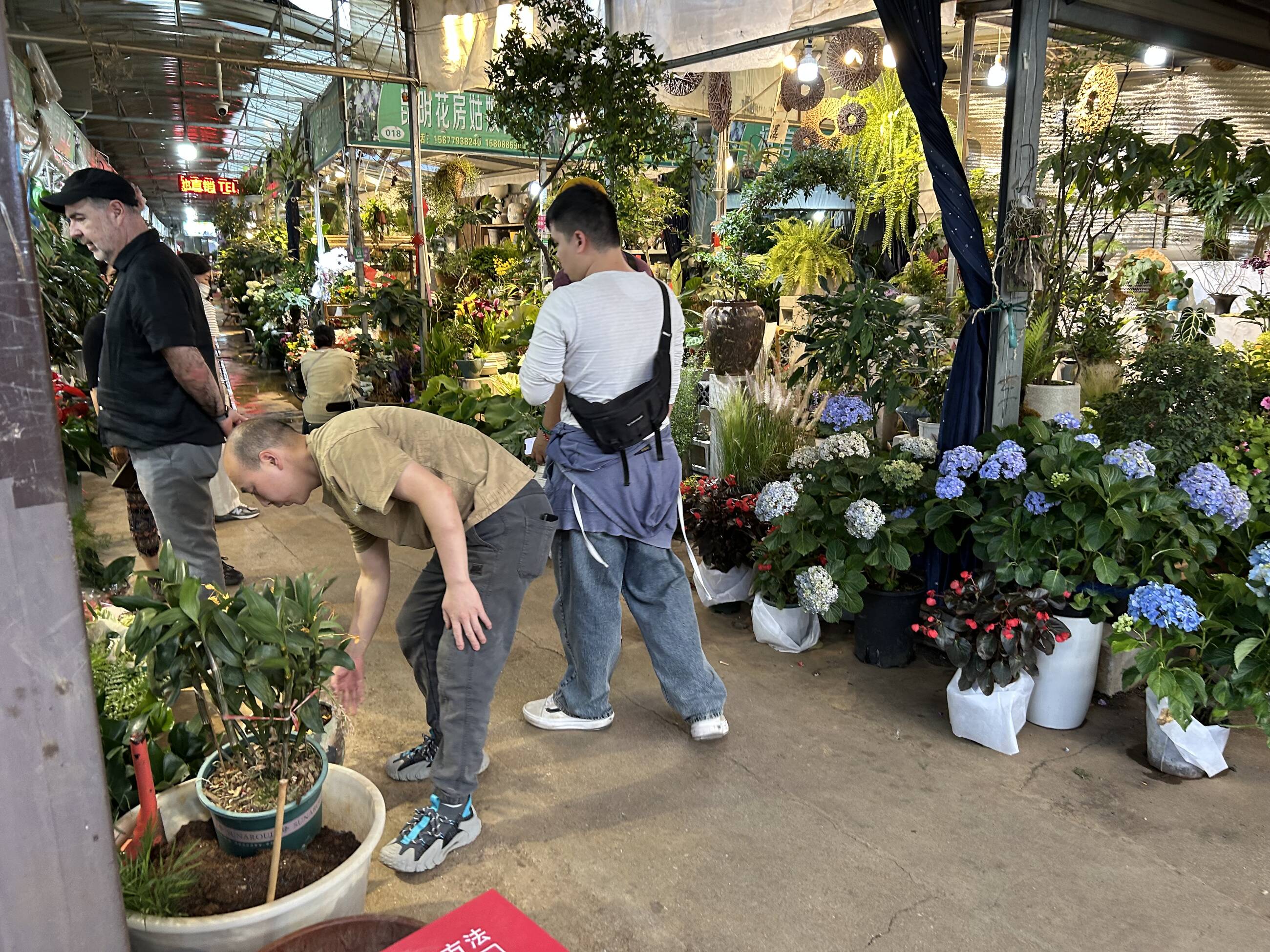 School trip to Kunming’s famous Flower Market 