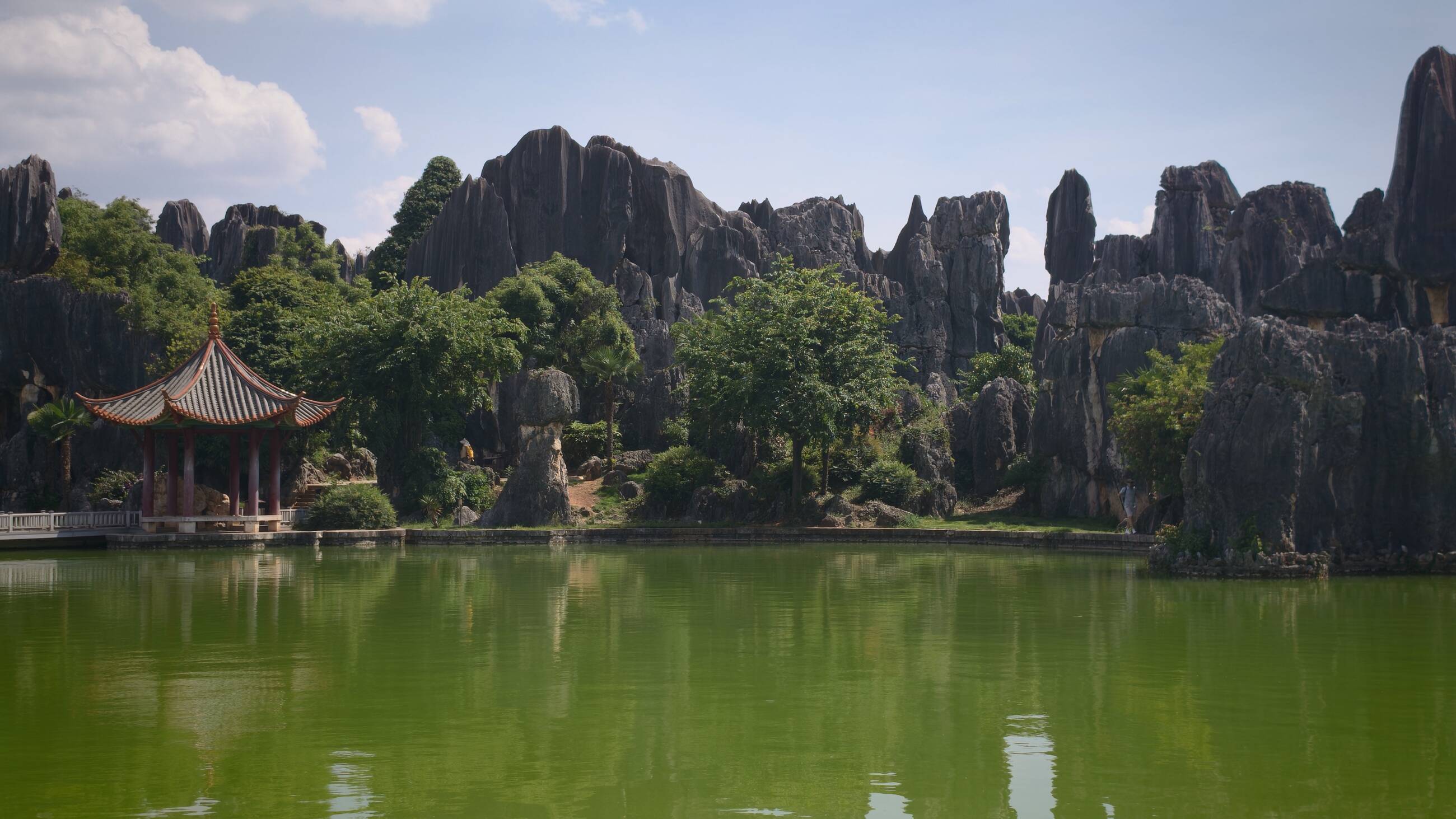 Stone forest 石林