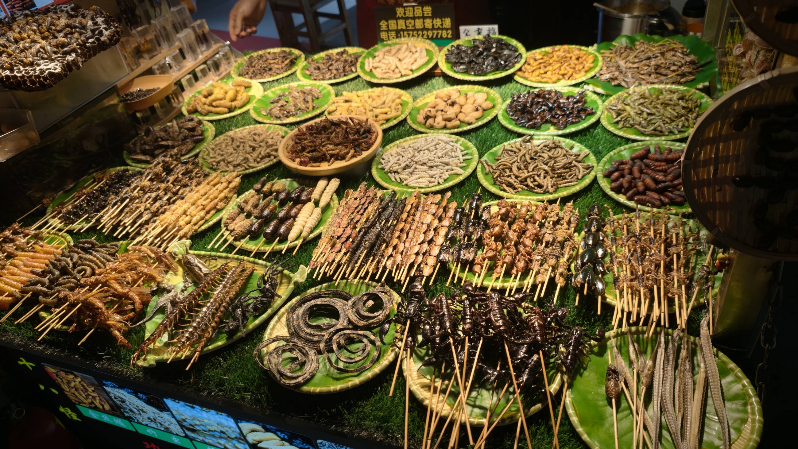 Night market