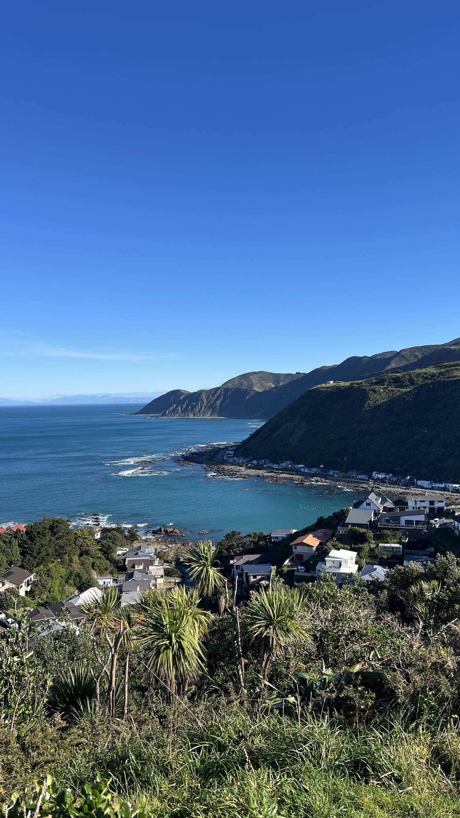 City to Sea hike, Wellington