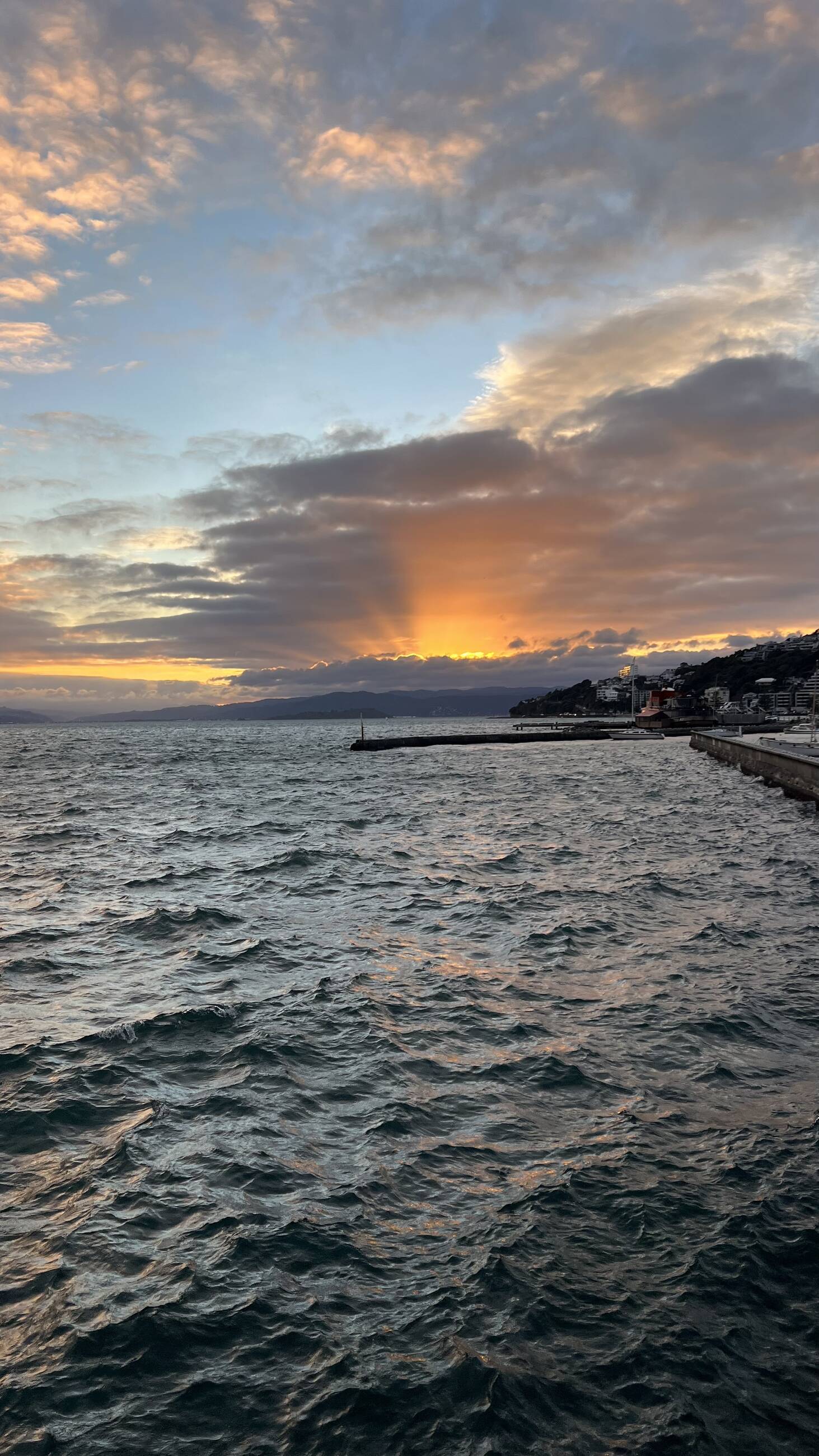 Harbor Sunrise, Wellington