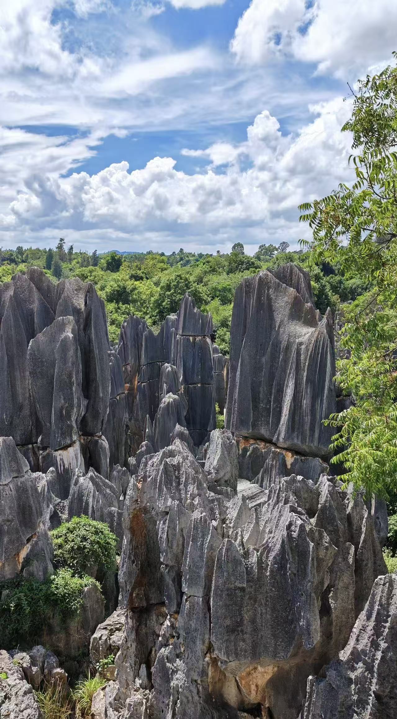 Daytrip to Jiuxiang cave and the stone forest