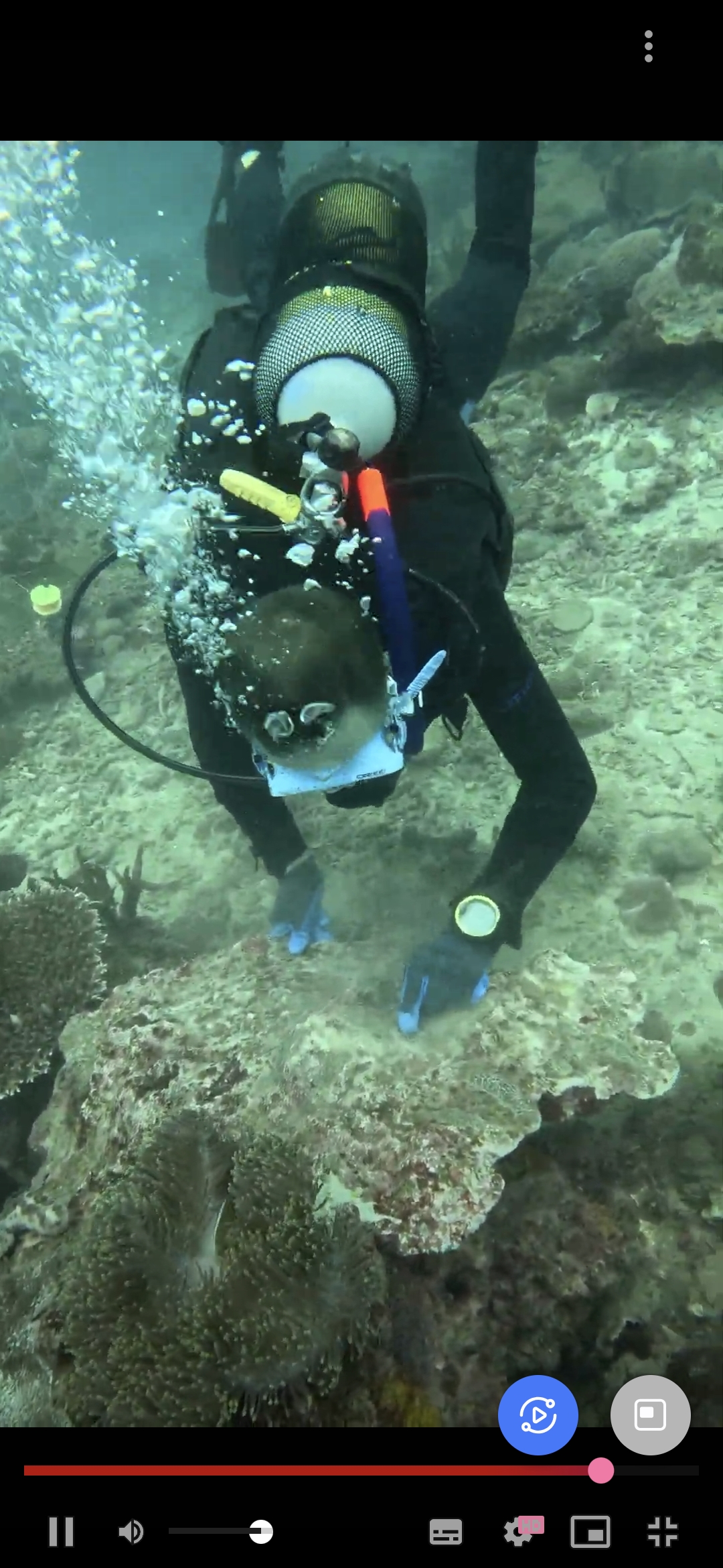 Underwater 