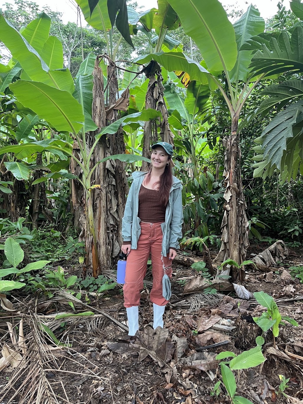 Amazon Rainforest